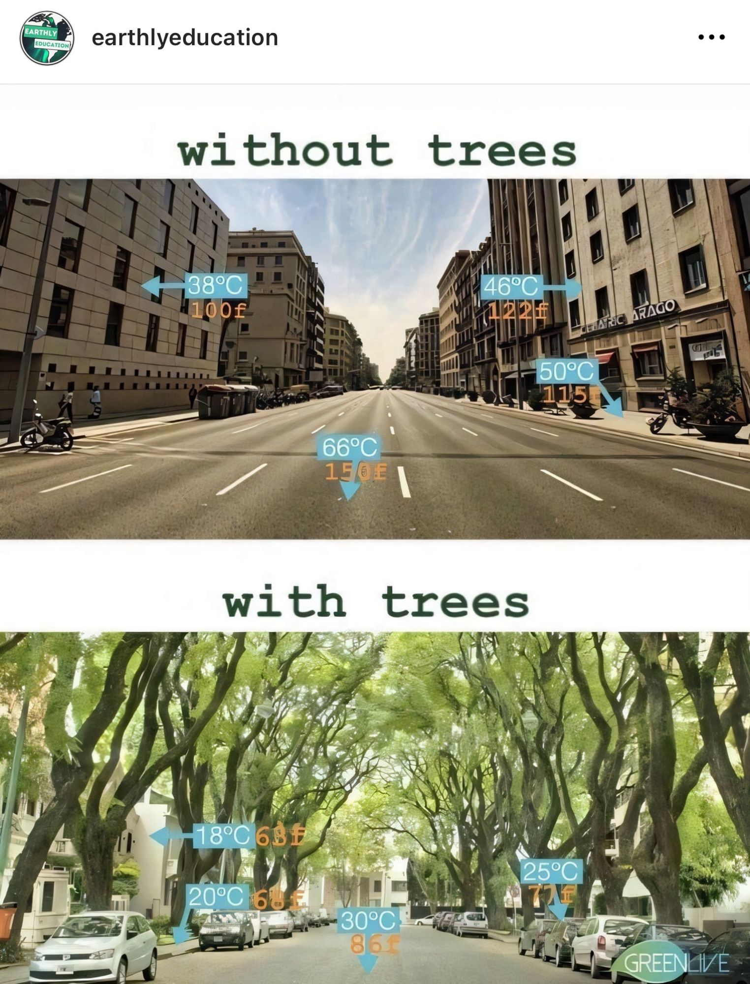 Without trees, urban streets overheat. With trees, streets stay much cooler.

Source:
https://www.instagram.com/p/C4xXUB4sccU/?igsh=dGJ6YmZvaHY3cHYy