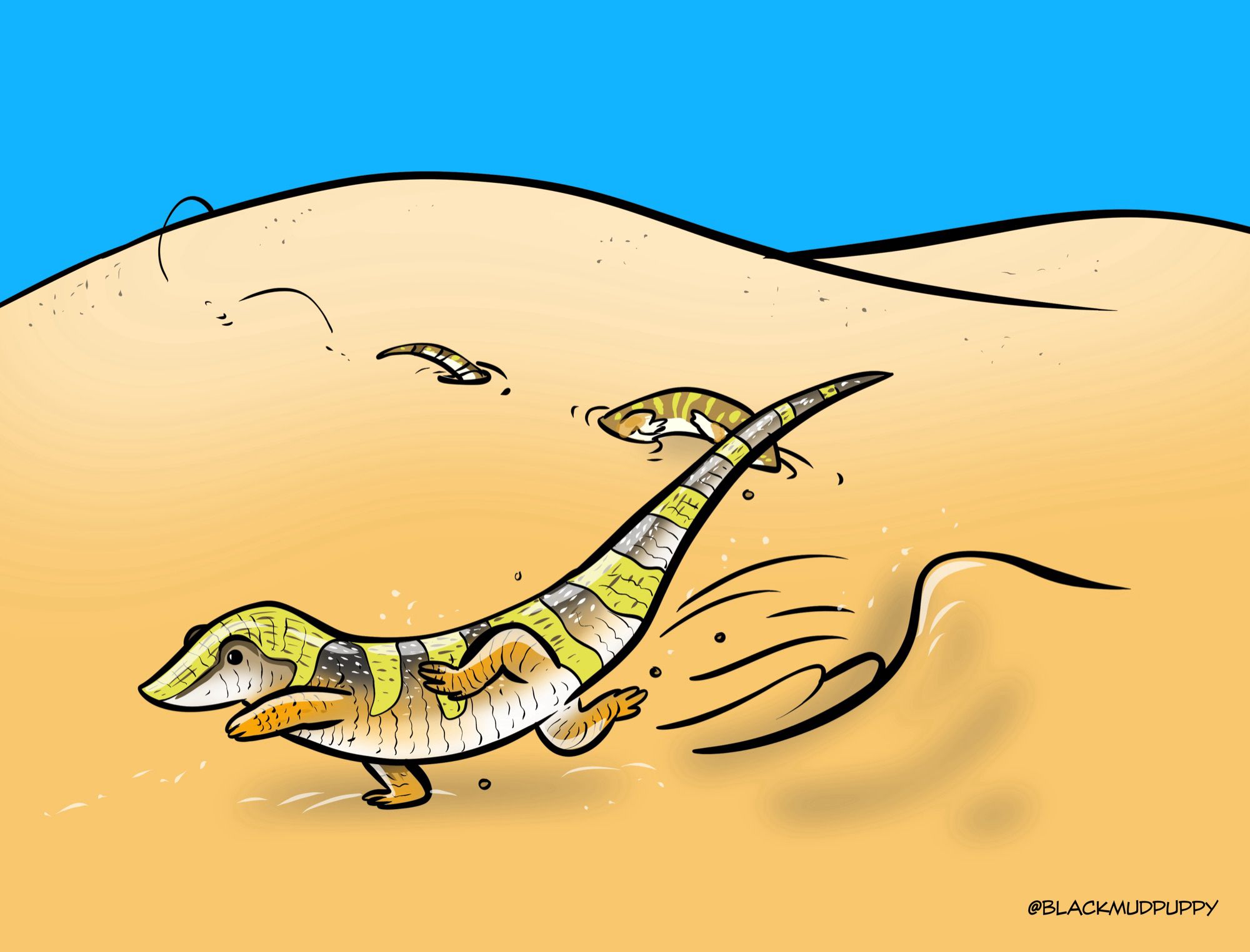 Cartoon of sandfish running through sand