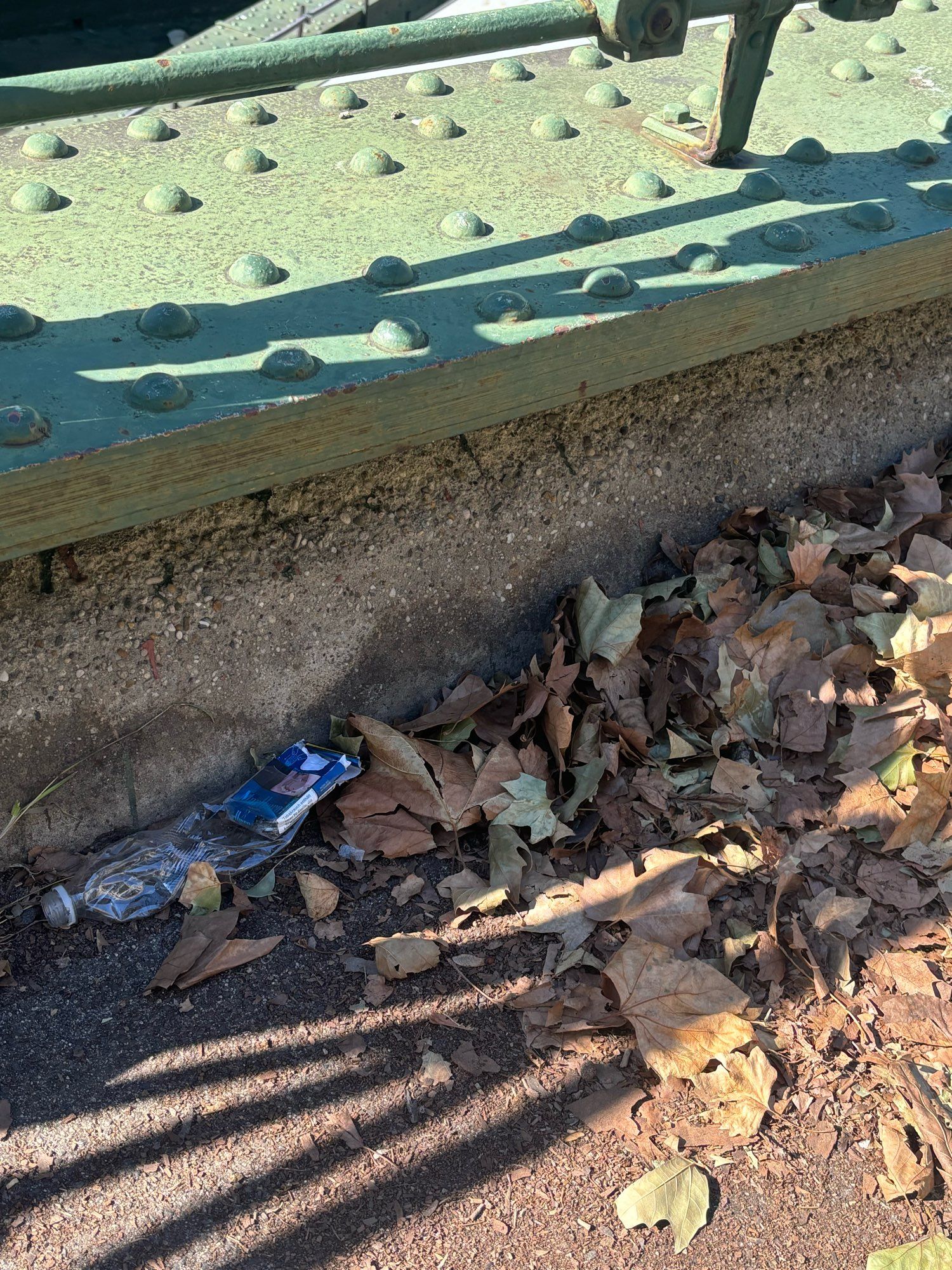 Zerdrückte Plastikflasche liegt neben Laub auf dem Boden, dahinter ein  Betonsockel mit grün gestrichenen Metall abgedeckt