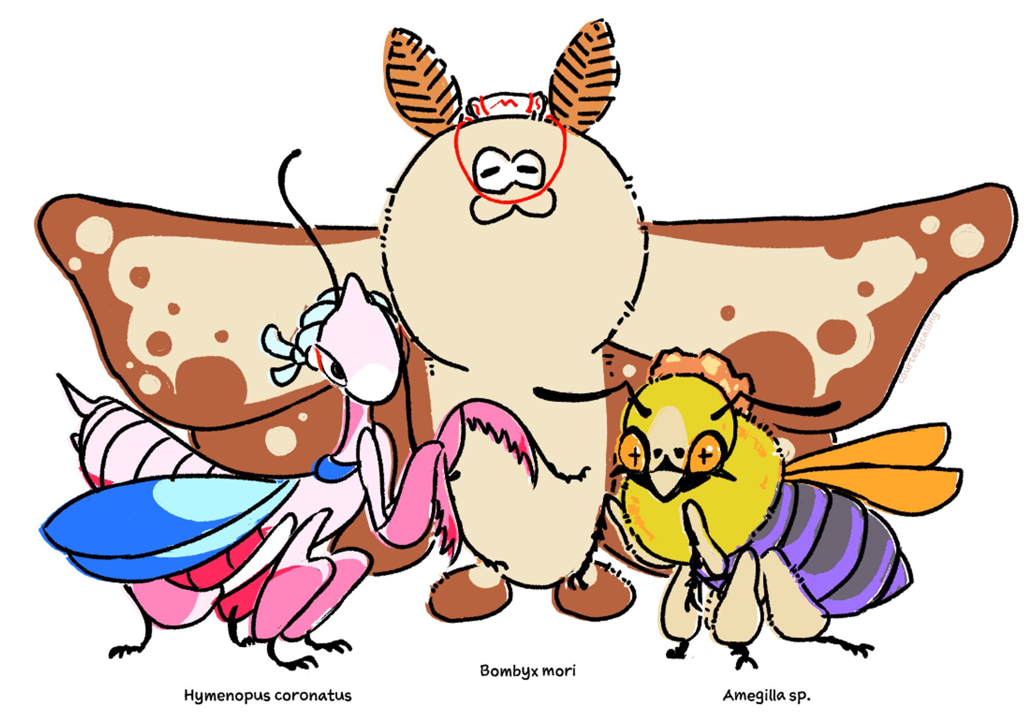 Deep Cut as bugs (Big Man is silkmoth, Shiver is an orchid mantis, Frye is an Amegilla bee)