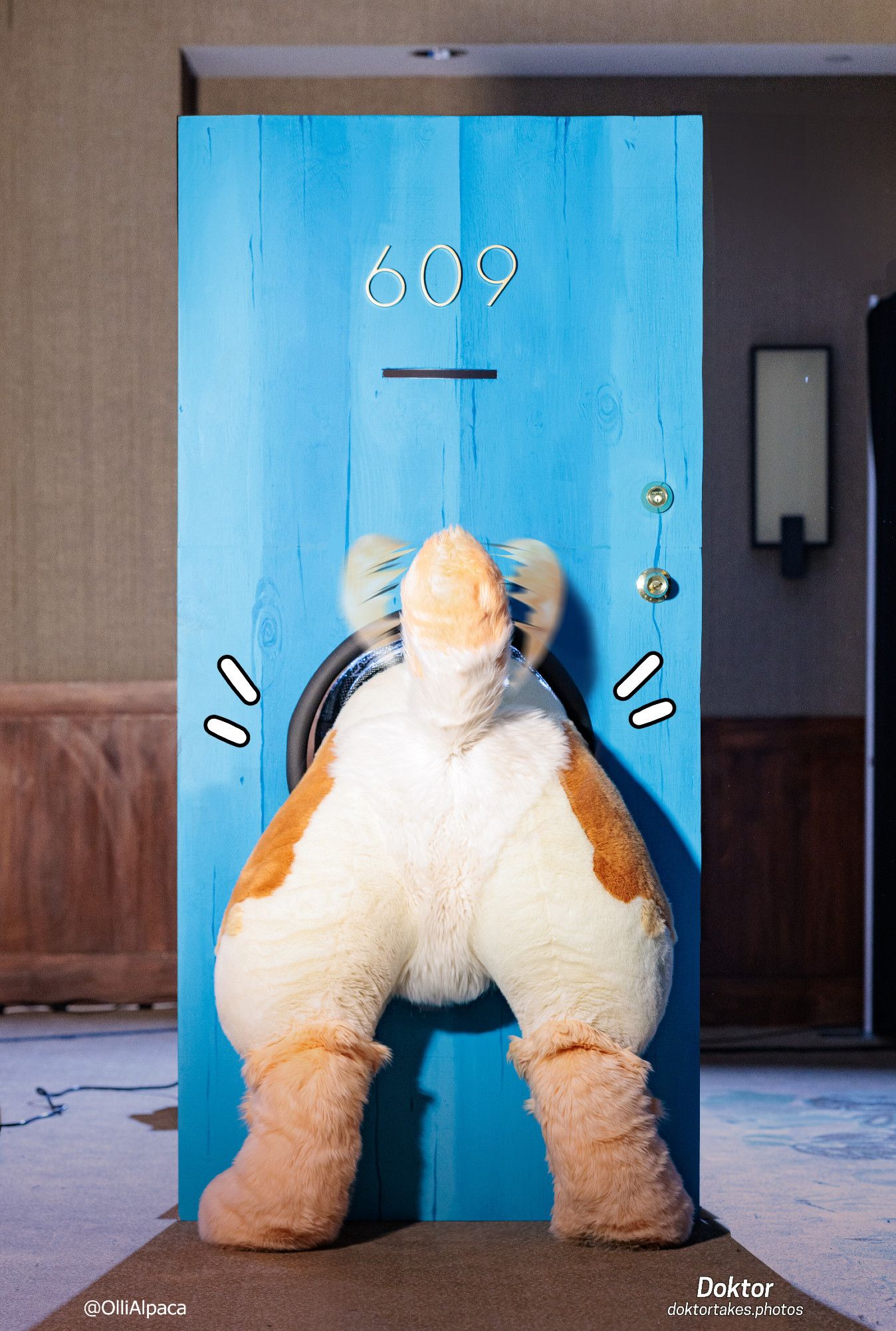 Suggestive fursuit photo of Olli the Alpaca, posing in a real "609" door. #fursuit #fursuitfriday