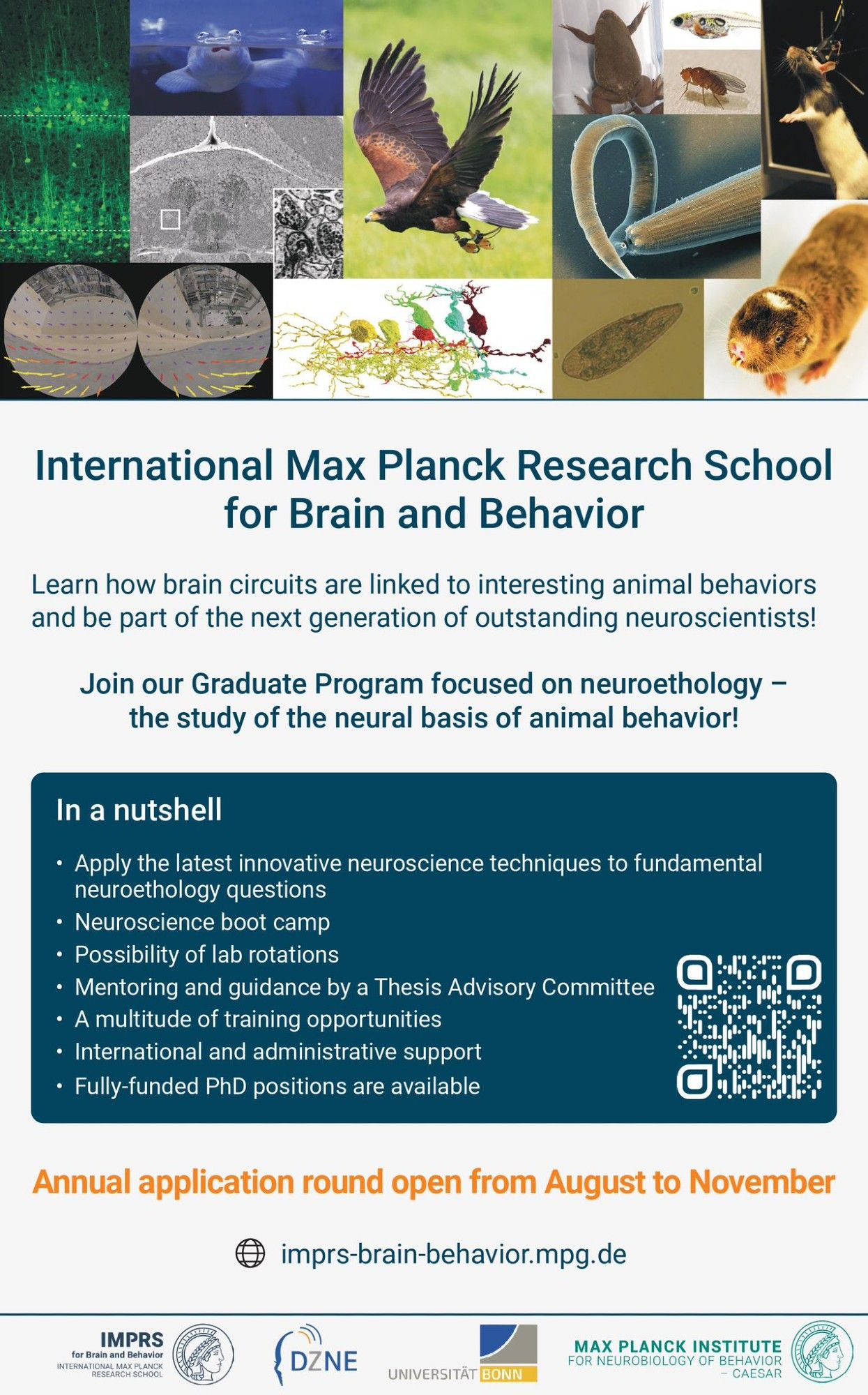 A flyer describing how to apply to the IMPRS graduate school for Brain and Behavior in Bonn.