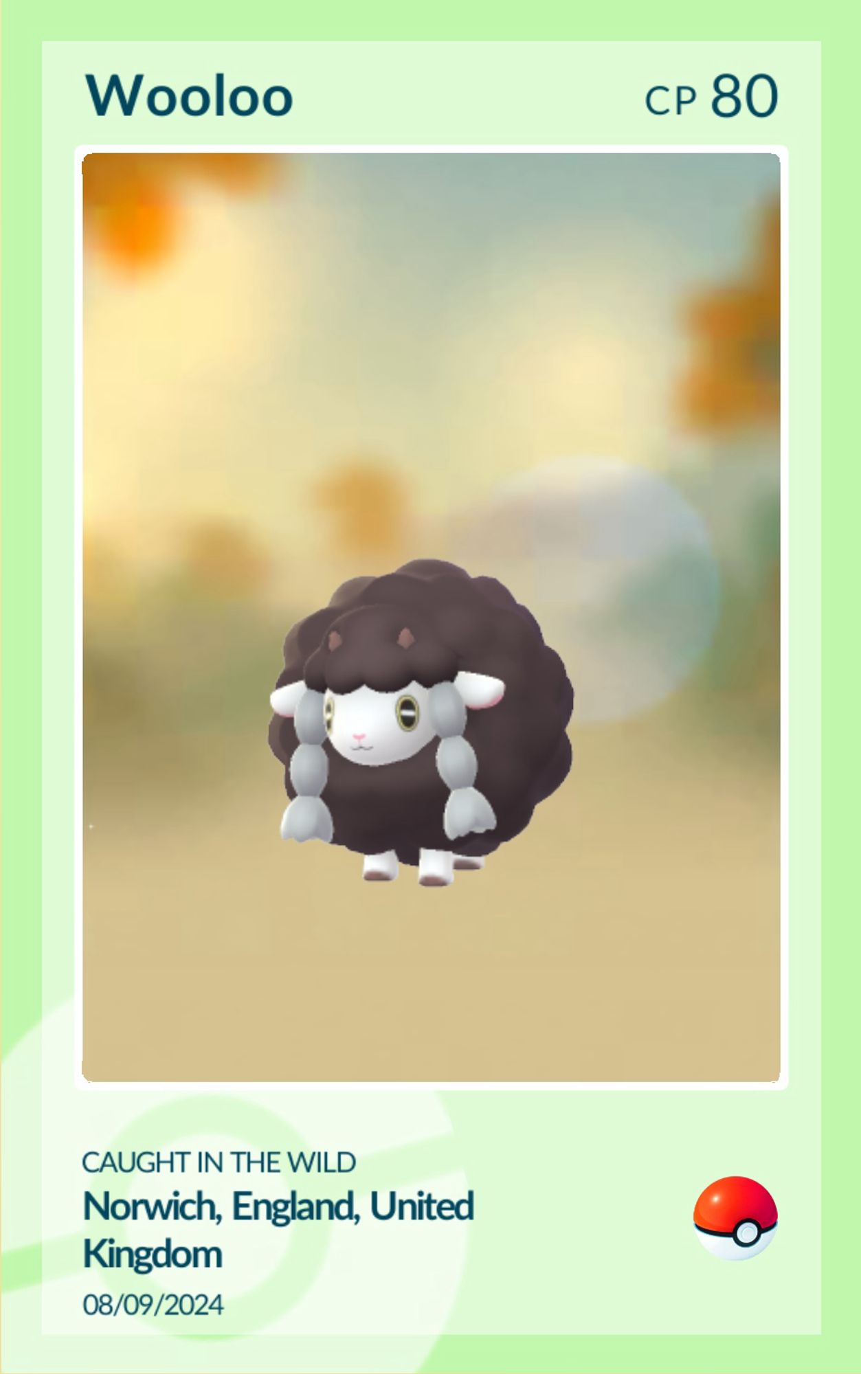 Shiny Wooloo Catch Card from Pokémon Go