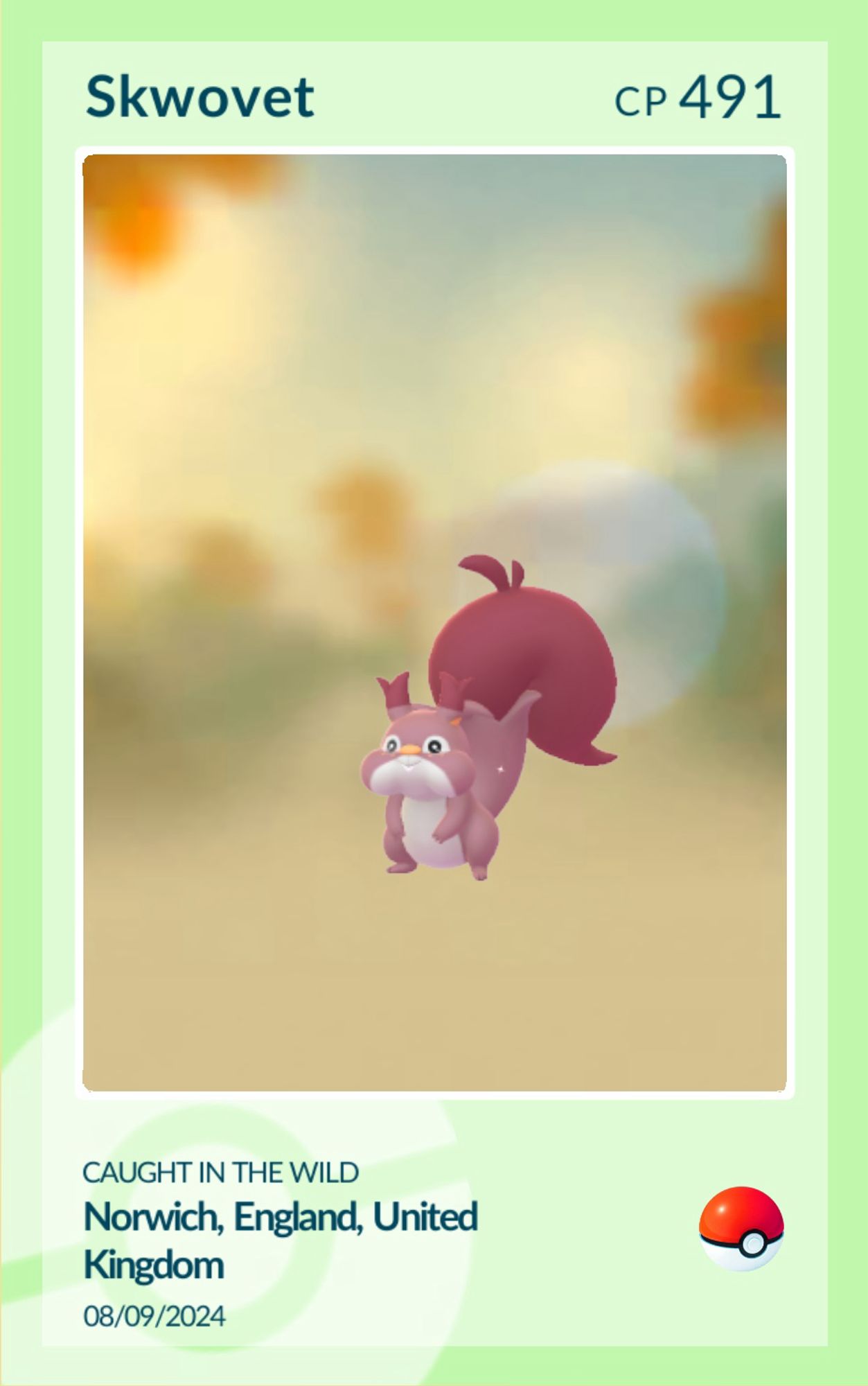 Shiny Skwovet Catch Card from Pokémon Go