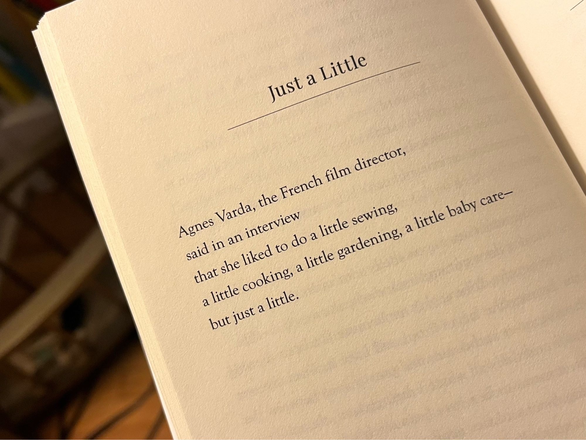 Just a Little
Agnes Varda, the French film director, said in an interview
that she liked to do a little sewing,
a little cooking, a little gardening, a little baby care-but just a little.

by Lydia Davis