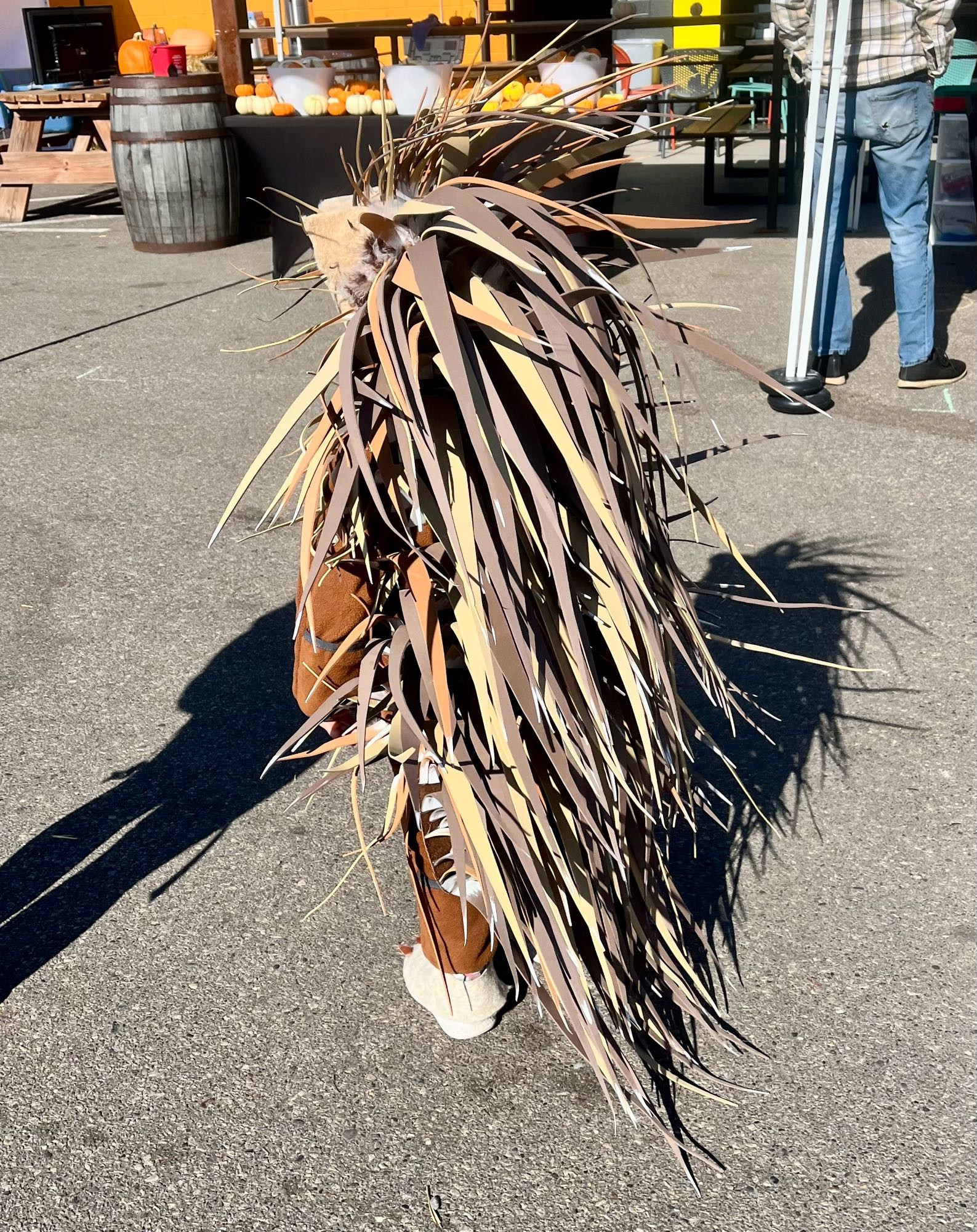 A kid of about 4 years old dressed up in an amazing homemade porcupine costume, from the back 