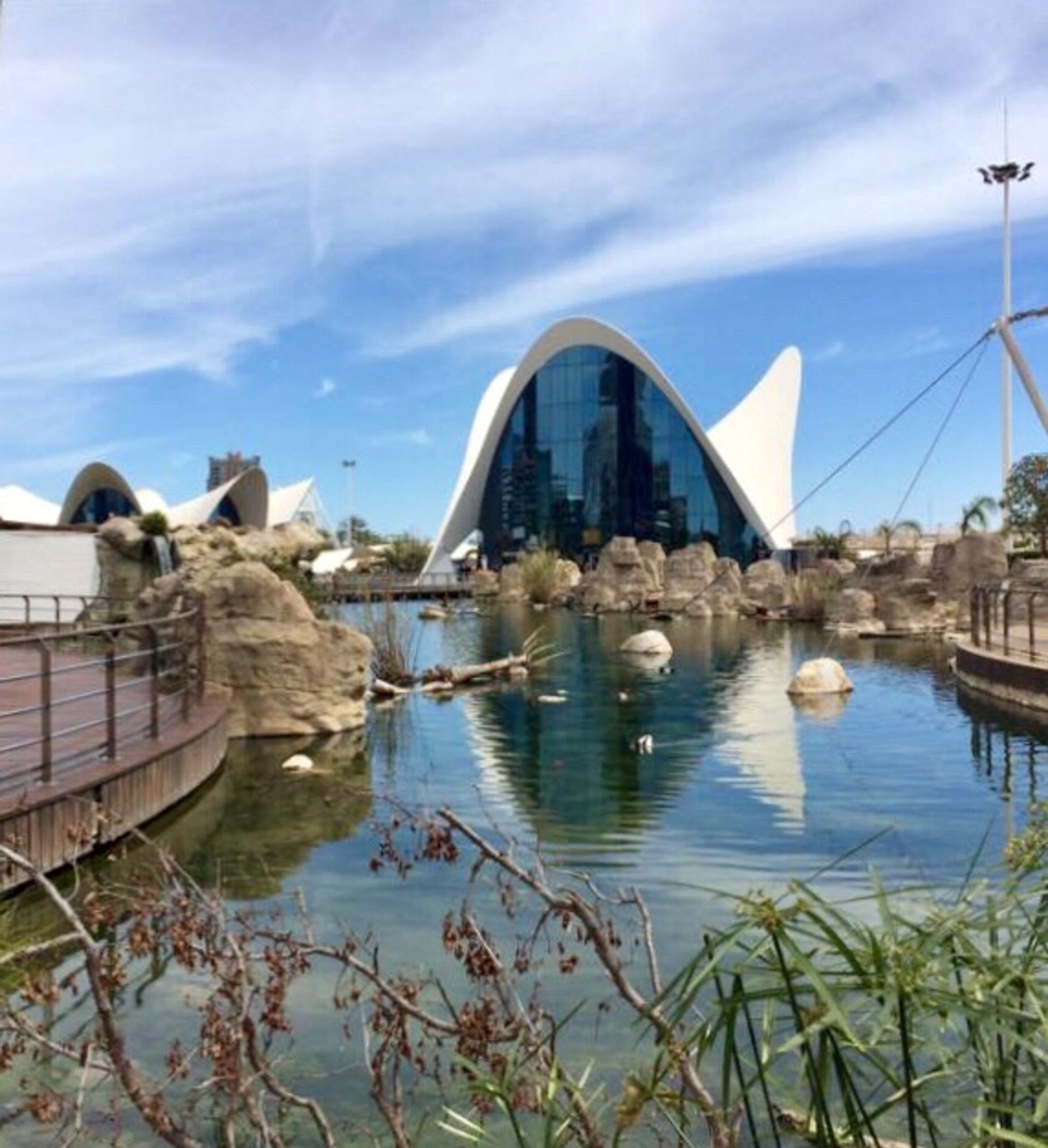 Valencia. Ozeaneum. Es ist das größte Aquarium Europas.