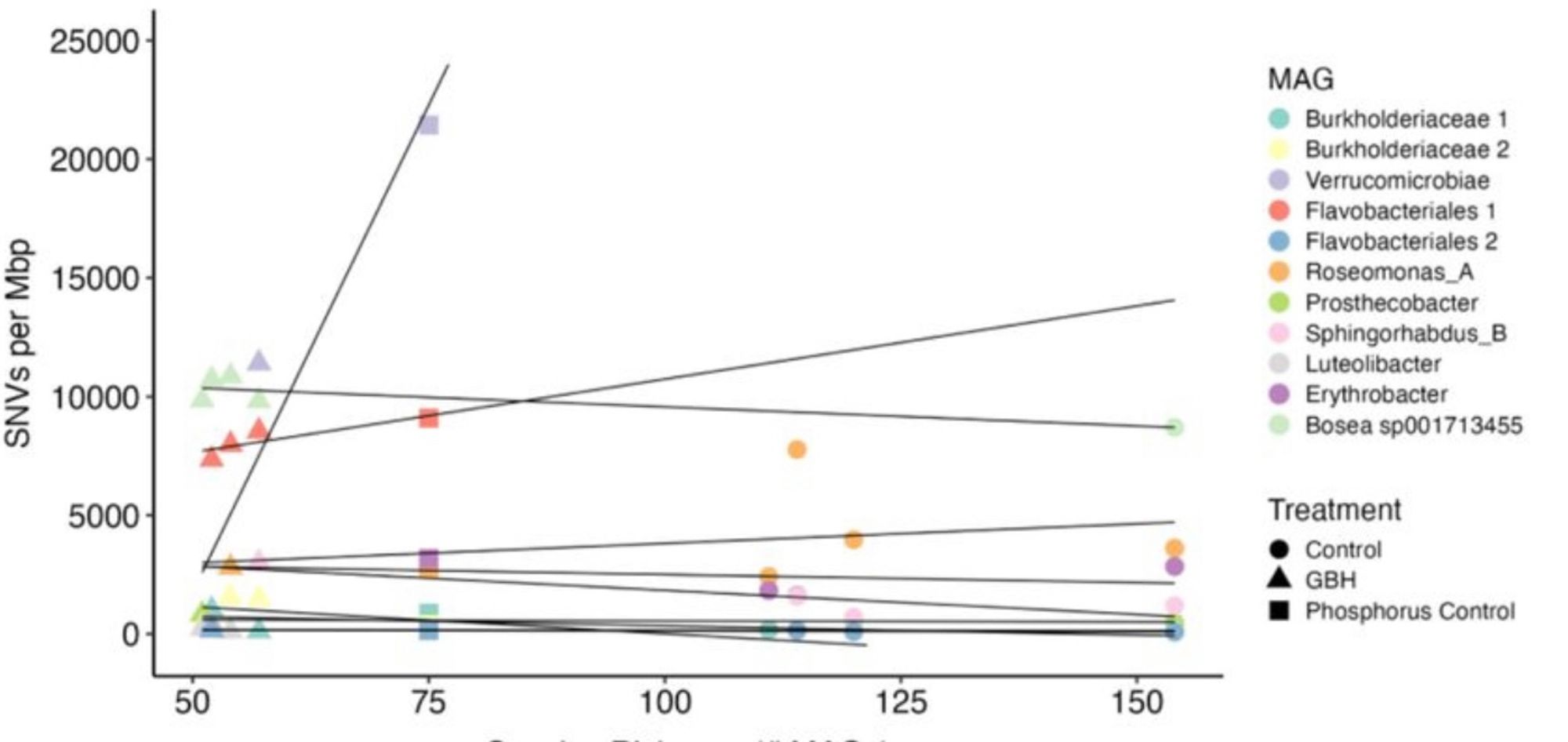 Scatter plot of species richness (community diversity) on the x-axis and within-species diversity on the y-axis. Trend lines show a flat relationship in most of the 11 species (MAGs).