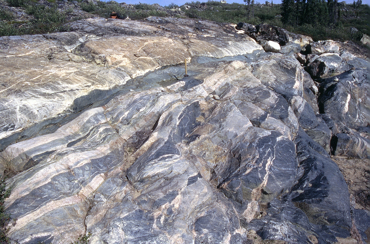 An undulating outcrop of rock showing several alternating and merging layers and veins of light and dark rock stretching away from the viewer. A sledgehammer around 70 cm long sits in the middle of the view to provide scale. There are some sparse trees in the distance.