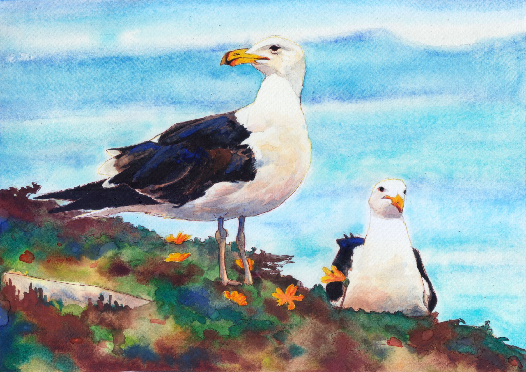 Watercolor painting of two Great Black-backed Gulls