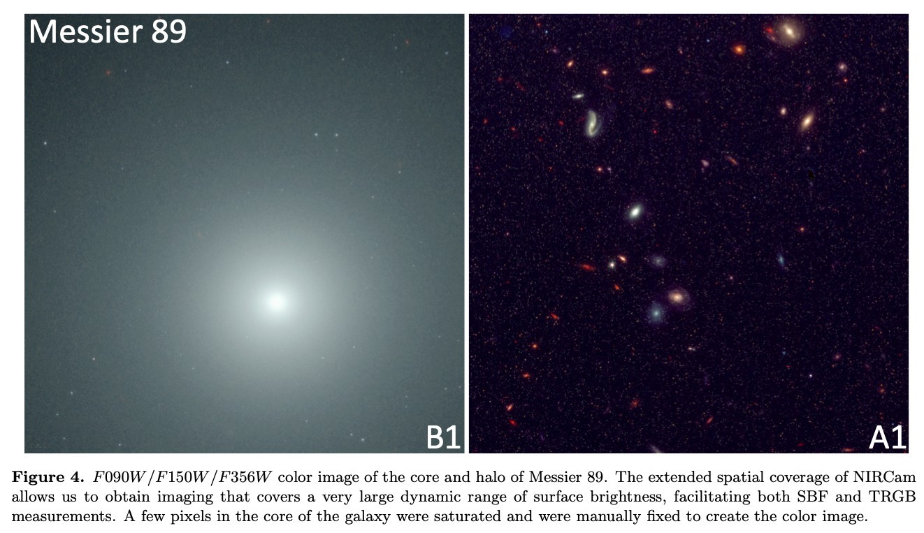 F090W/F150W/F356W color image of the core and halo of Messier 89. The extended spatial coverage of NIRCam
allows us to obtain imaging that covers a very large dynamic range of surface brightness, facilitating both SBF and TRGB
measurements. A few pixels in the core of the galaxy were saturated and were manually fixed to create the color image.