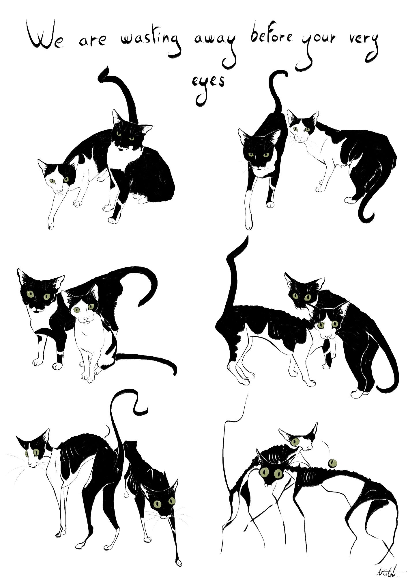 A series of six drawings of a pair of black and white cats with green eyes, getting increasingly skinnier and cartoonier until they are skin and bones and globular eyes. Above, the title reads We are wasting away before your very eyes