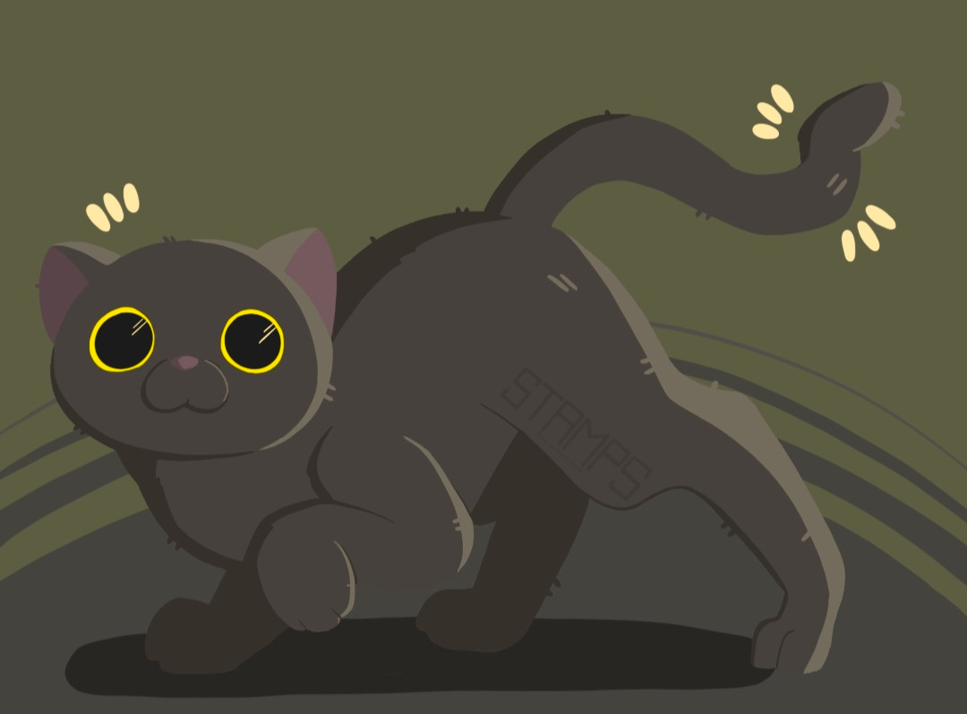 A gray cat with big yellow eyes and a crooked tail