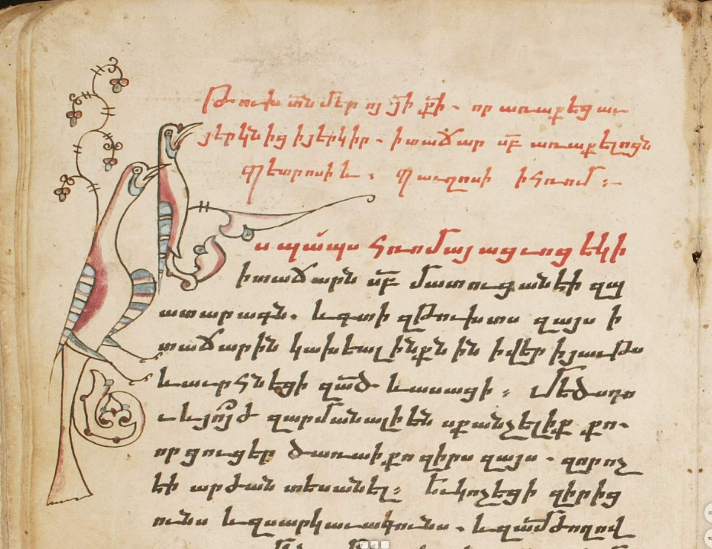 Image of Armenian manuscript with text in red and black ink and two birds drawn in the margin.