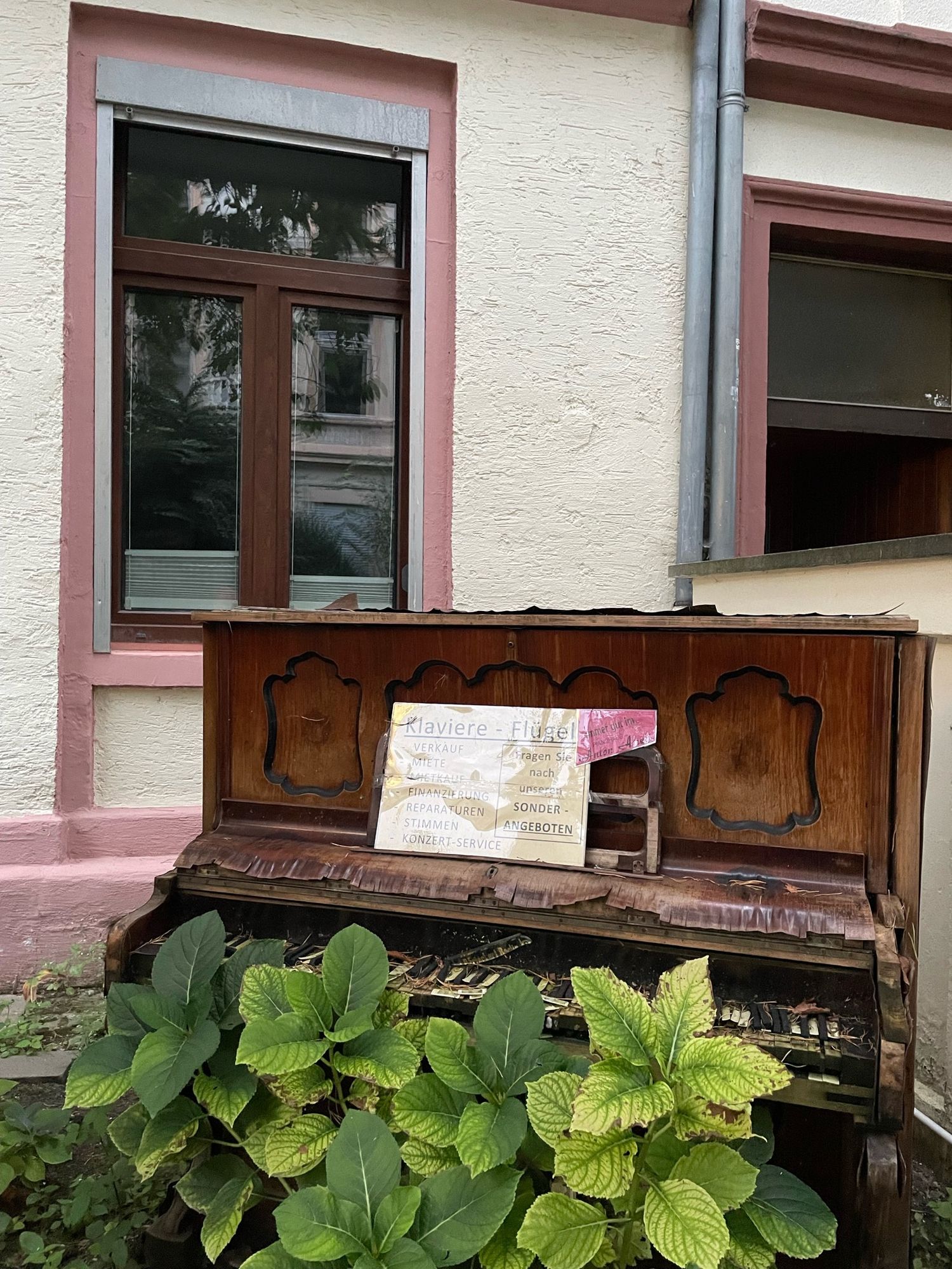 Altes überwuchertes Klavier vor Haus