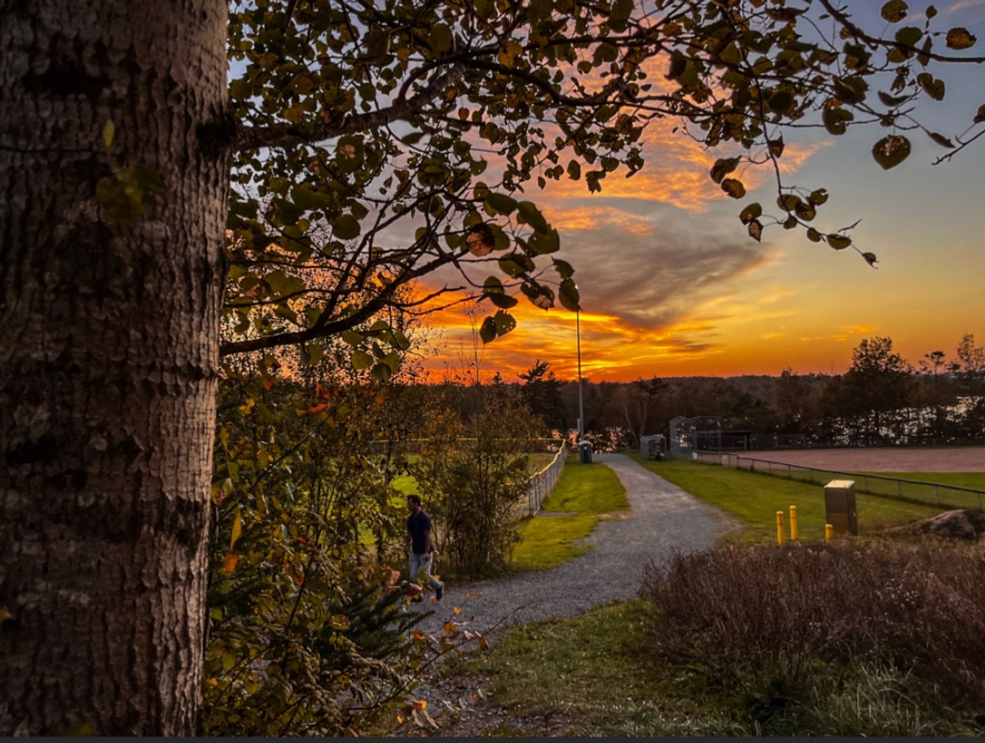 A brilliant orange sunset sky looms over a green field, trees, shrubs, and a walking path