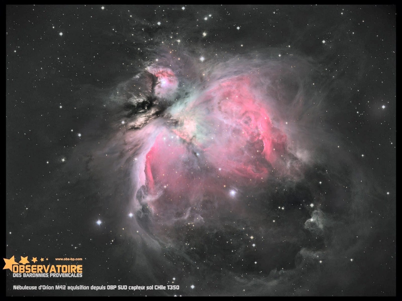 The Orion nebula.
The trapezium cluster in the center illuminates the surrounding cloud of gas and dust.
The hydrogen gas radiates red/purple, the oxygen some blue/green.
The colors take around a quarter of the field of view, the rest are shades of grays with a lot of stars.
Black "holes" are actually dust clouds hiding the background lights.