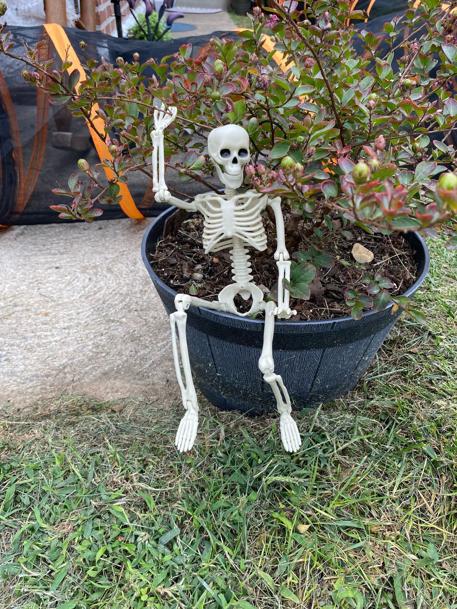 Small skeleton waving from crepe myrtle bush