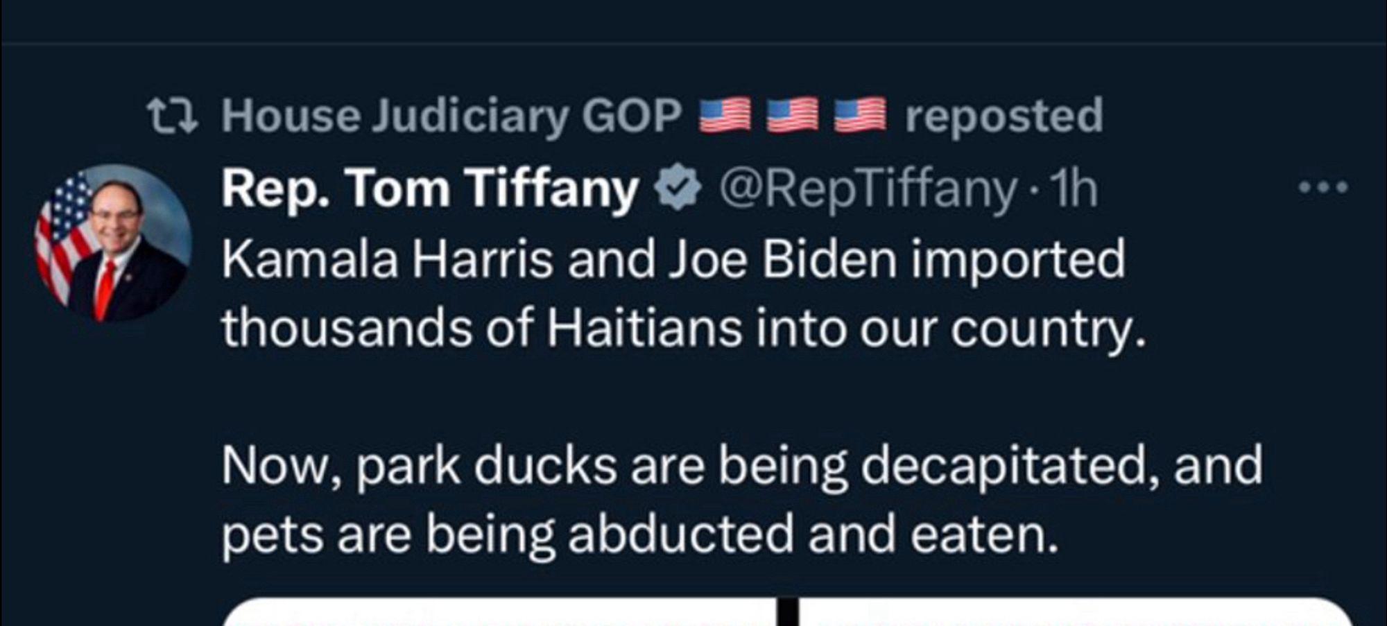 Predictably thoughtless tweet from US Representative Tim Tiffany lamenting “park ducks” supposedly being “decapitated”.