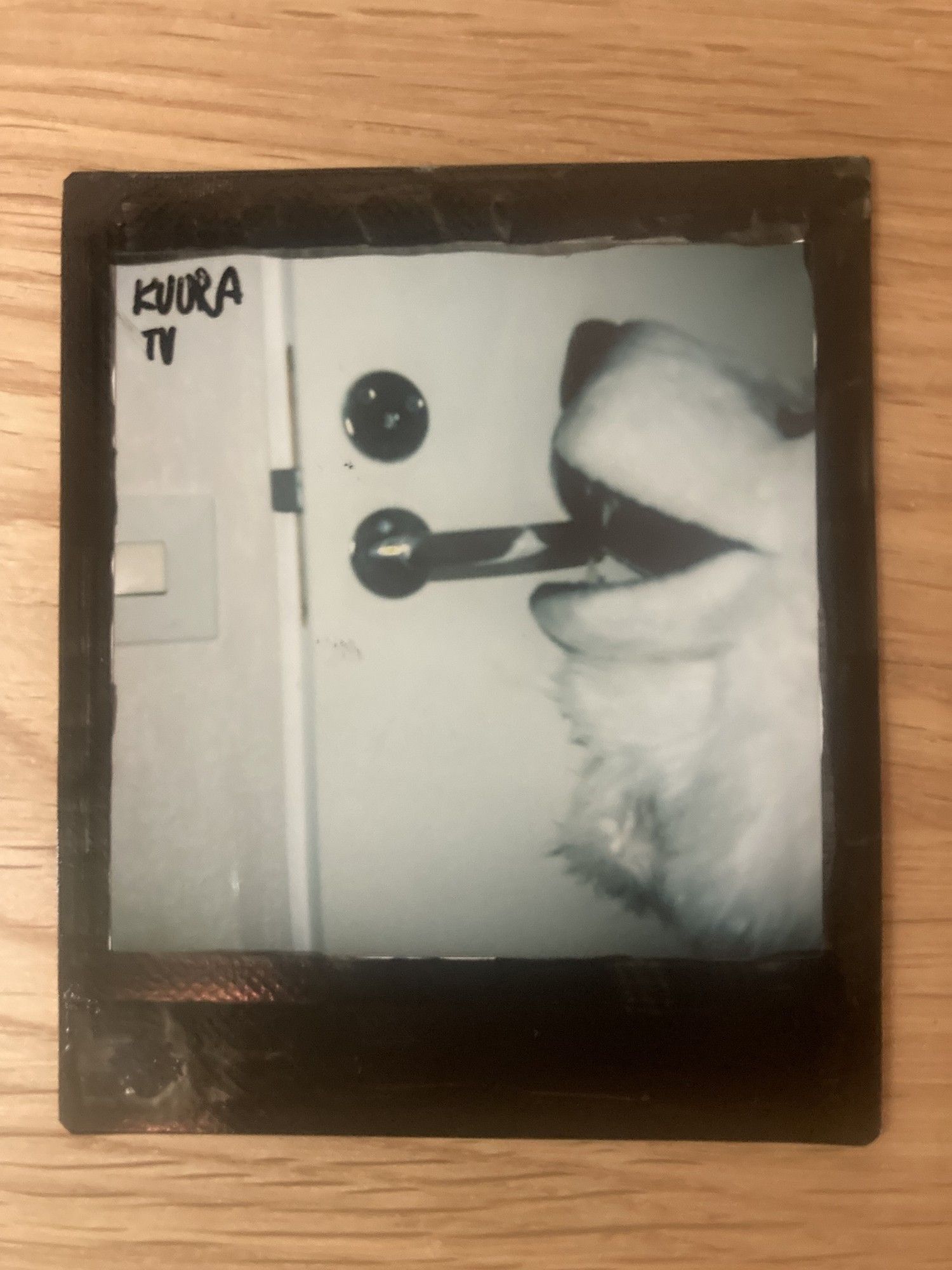 Instax picture where is a door handle and a polar bear (costume) is about to moms it.