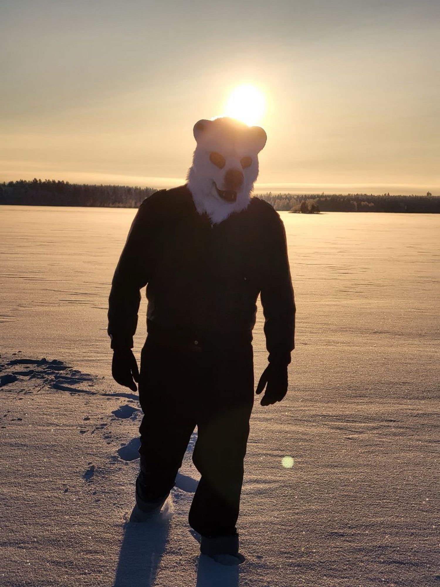 Photo of anthro polar bear enjoying nordic winterday on frozen lake.