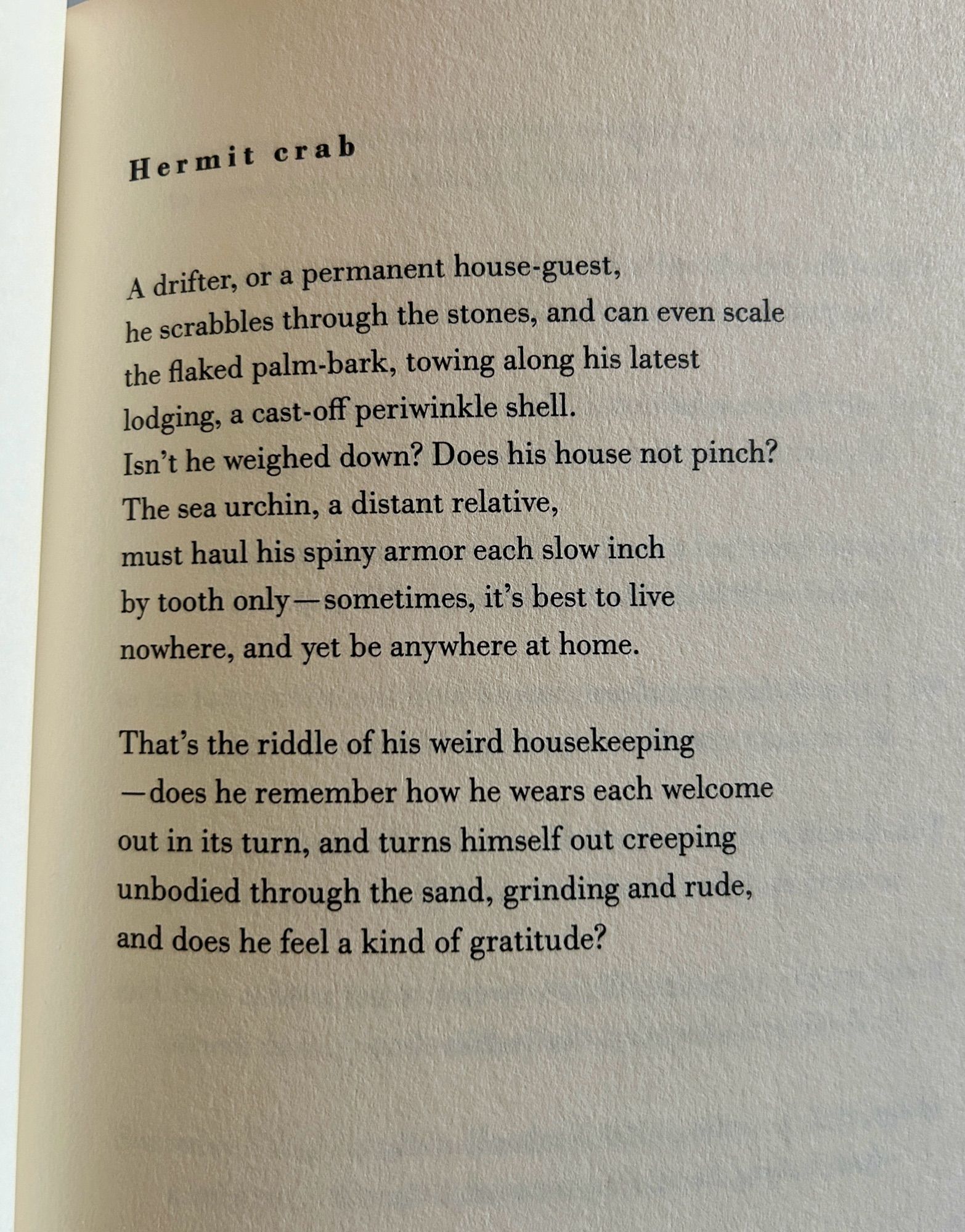 Hermit crab
A drifter, or a permanent house-guest,
he scrabbles through the stones, and can even scale the flaked palm-bark, towing along his latest lodging, a cast-off periwinkle shell.
Isn't he weighed down? Does his house not pinch?
The sea urchin, a distant relative, must haul his spiny armor each slow inch by tooth only - sometimes, it's best to live nowhere, and yet be anywhere at home.
That's the riddle of his weird housekeeping
—does he remember how he wears each welcome out in its turn, and turns himself out creeping unbodied through the sand, grinding and rude, and does he feel a kind of gratitude?