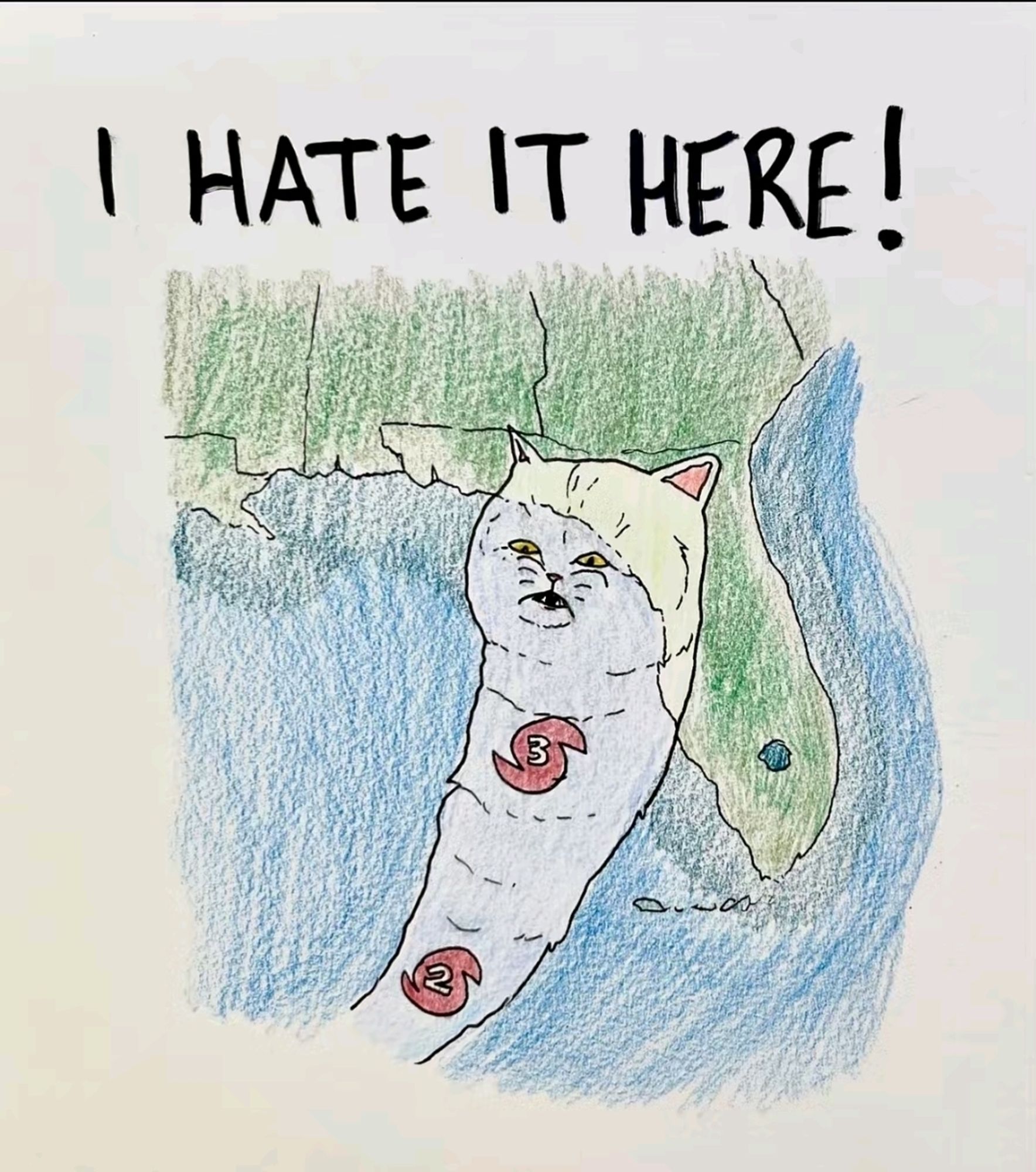 A drawn picture using colored pencils of the state of Florida with a hurricane cone track that hits Florida and has the head of a white cat and the text above that reads "I hate it here!"