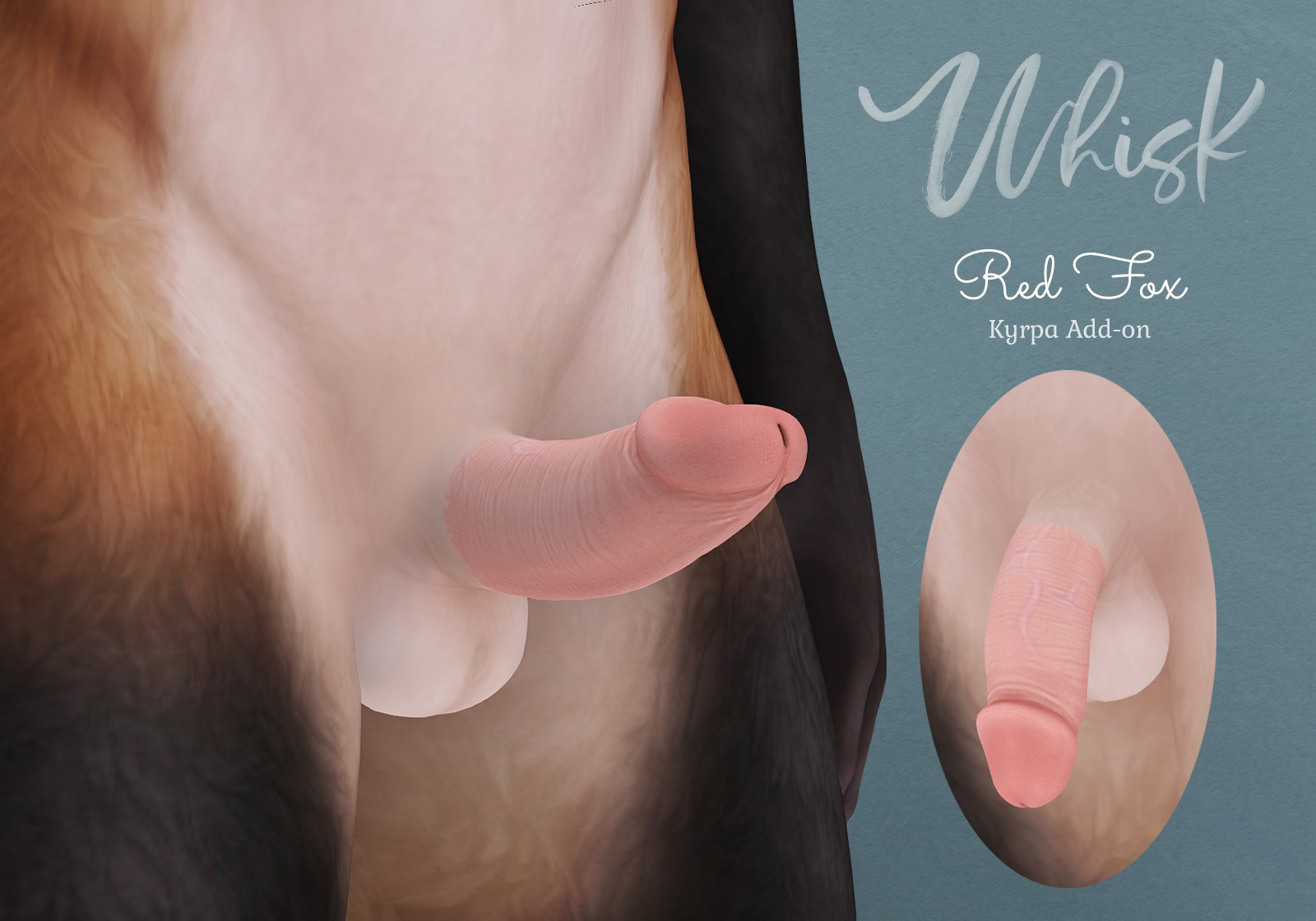 A male anthro model poses with an erect penis. The text on the right side of the image says "Whisk Red Fox Kyrpa Add-on"

#Furry #FurrySL #SecondLife #WhiskSL