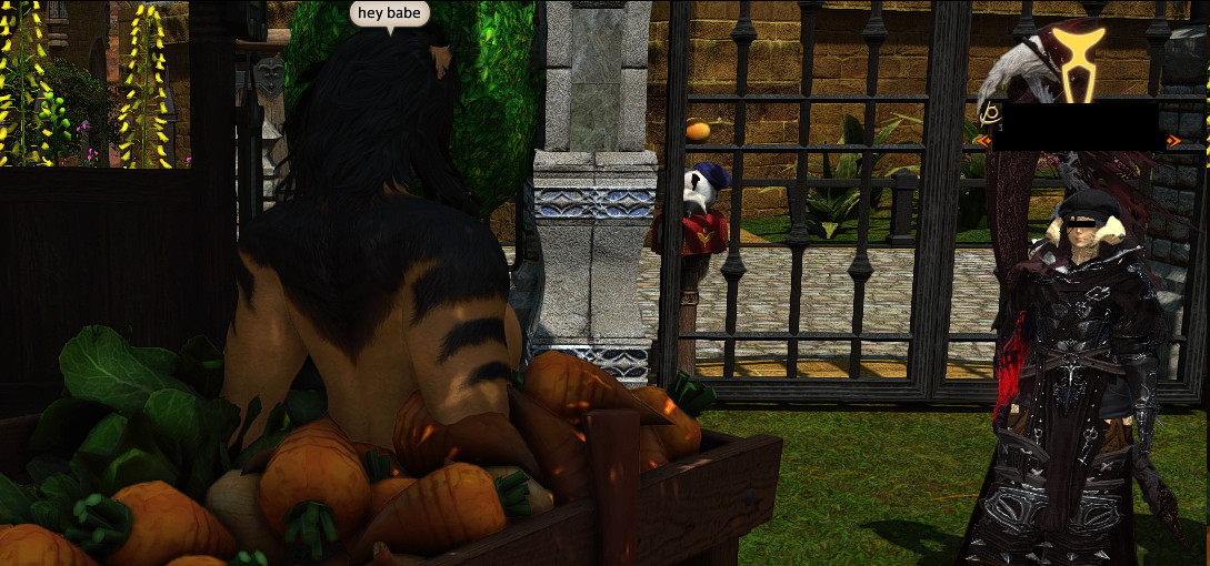 A topless hrothgar in a vegetable bin looking at an au ra and saying "hey babe".