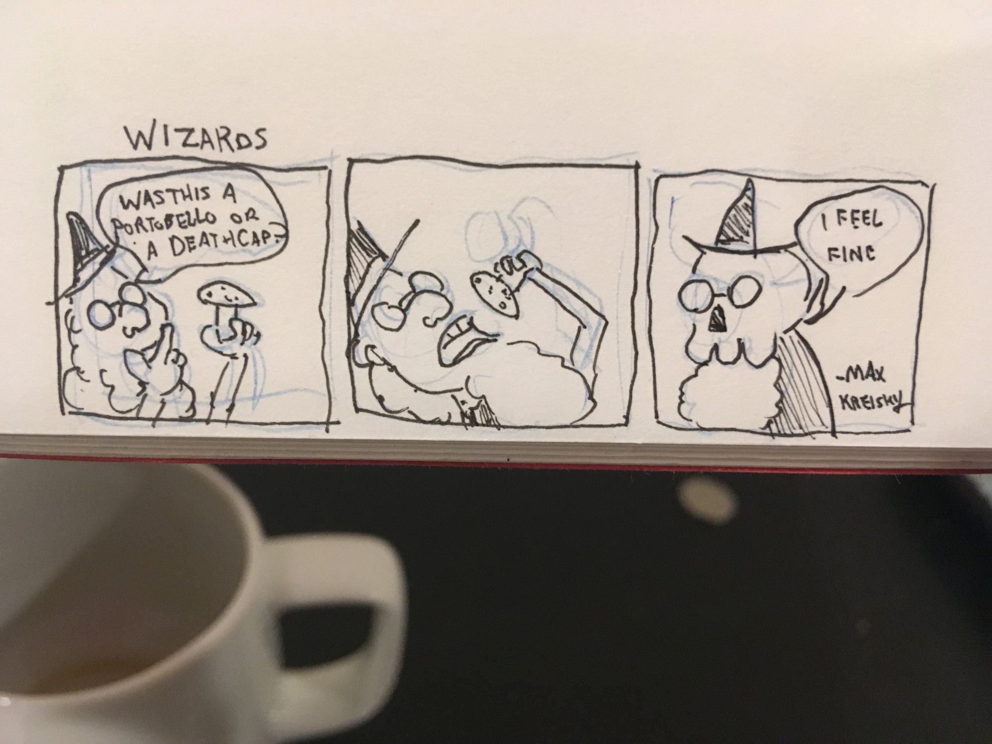 1st panel - a wizard holding a mushroom. He says "Was this a portobello or a deathcap?"
2nd panel - the wizard eats the mushroom
3rd panel - the wizard's head has become a skull. He says "I feel fine"