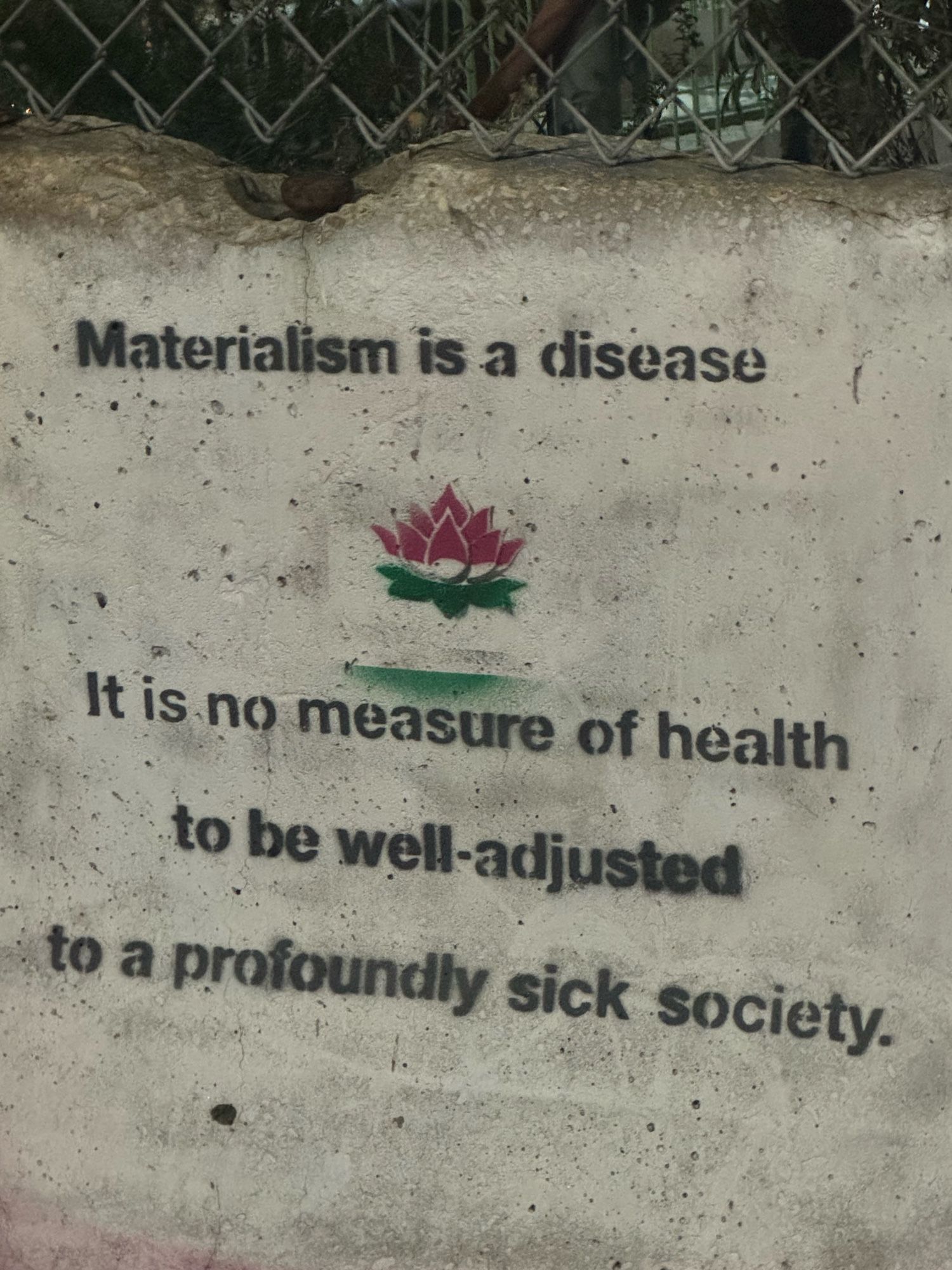 Materialism is a disease. It is no measure of health to be well-adjusted to a profoundly sick society.