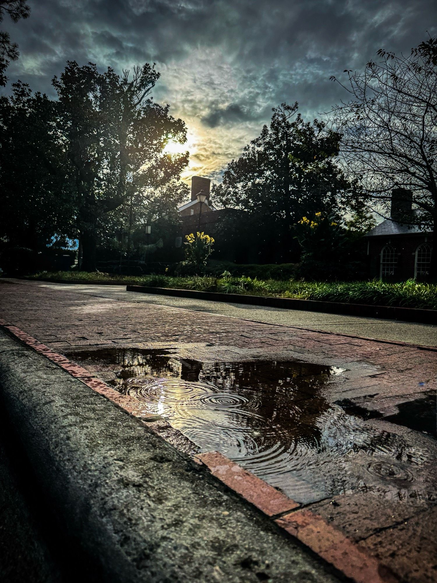 A reflective puddle on a brick sidewalk in the foreground captures ripples and the silhouette of nearby trees. In the background, tall trees and a brick building with a chimney are backlit by the sun, which is partially obscured by dense clouds. The overall lighting creates a moody, shadowed atmosphere, with patches of sunlight highlighting portions of the wet surface and greenery.