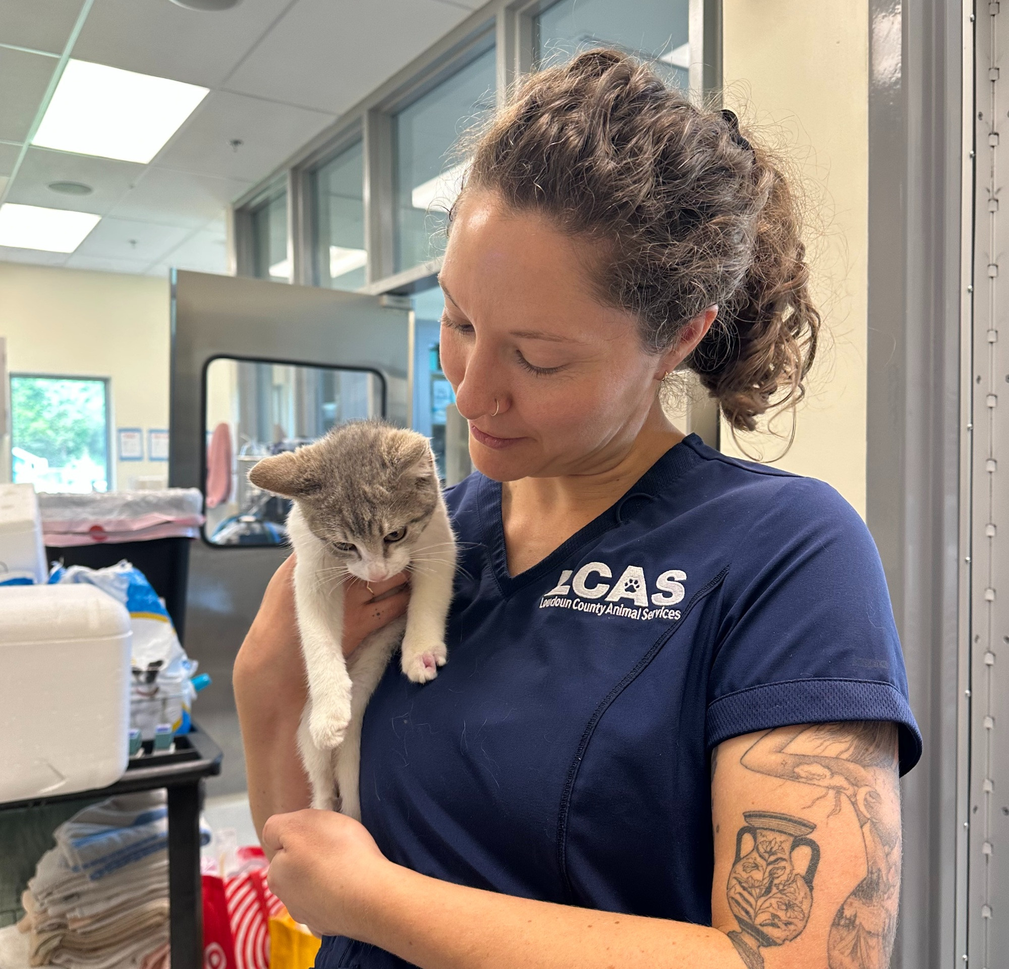 On of our veterinarians snuggles Rebar the kitten.