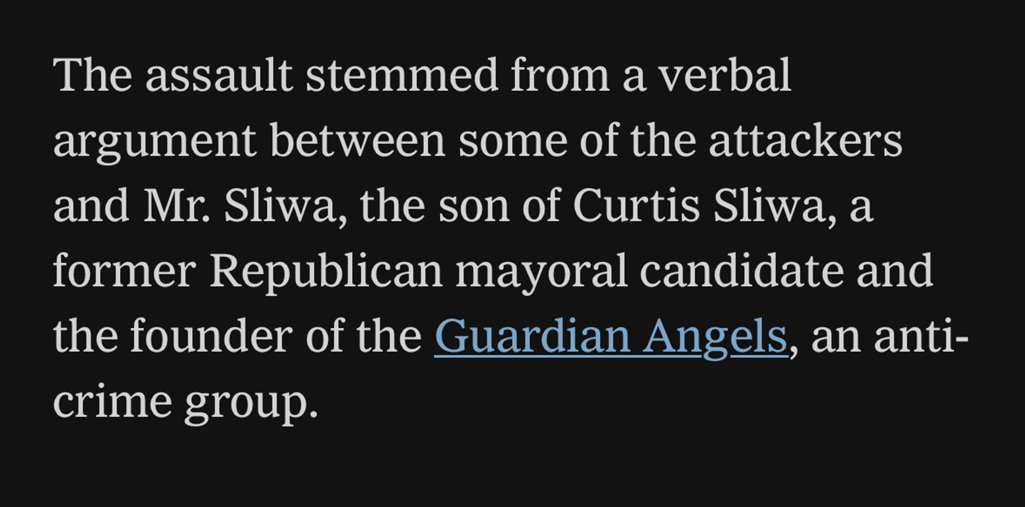 The assault stemmed from a verbal argument between some of the attackers and Mr. Sliwa, the son of Curtis Sliwa, a former Republican mayoral candidate and the founder of the Guardian Angels, an anti-crime group.