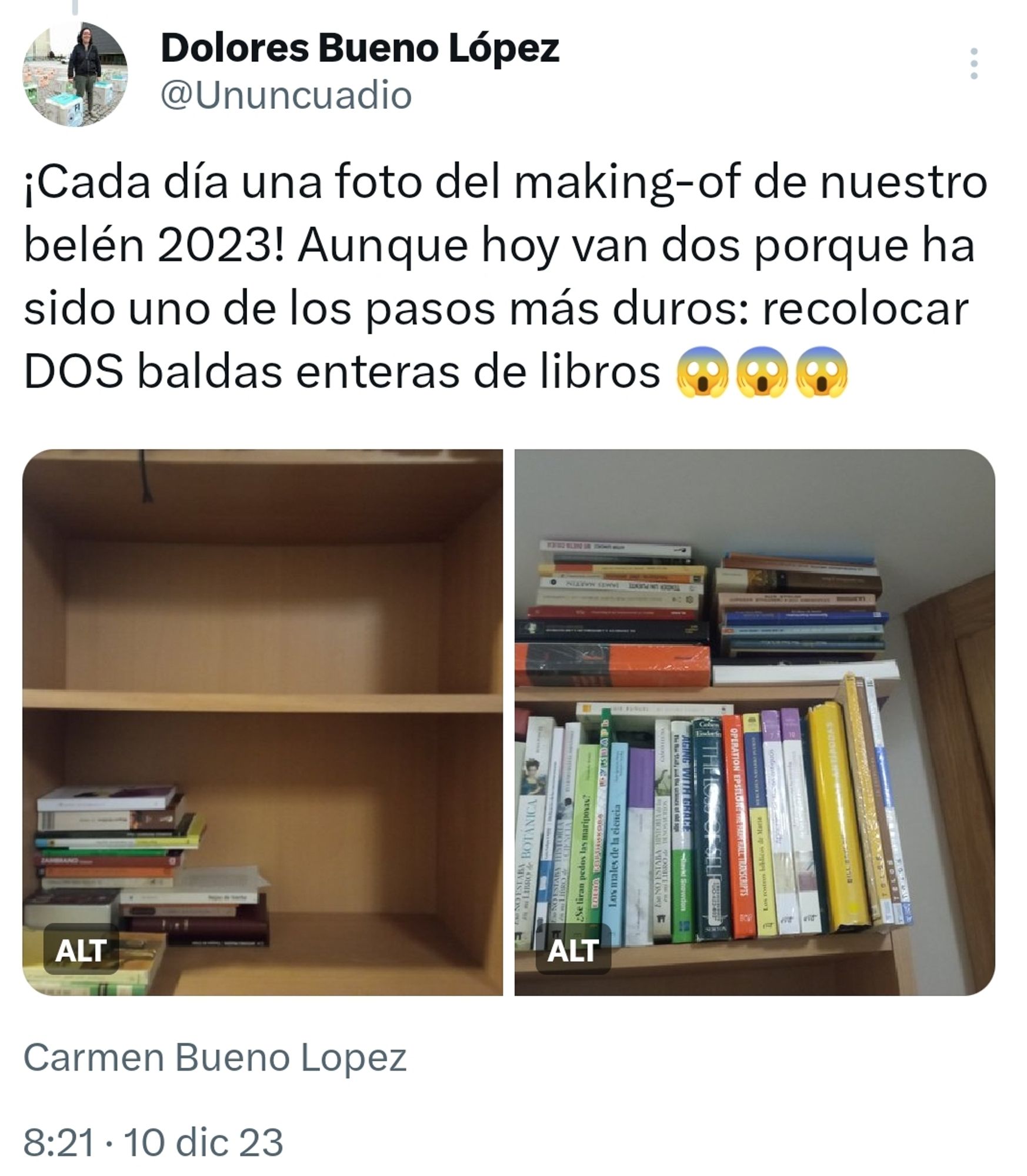 Captura de un tuit en el que se lee: ¡Cada día una foto del making-of de nuestro belén 2023! Aunque hoy van dos porque ha sido uno de los pasos más diros: recolocar DOS baldas enteras de libros 😱😱😱 
En el tuit hay dos imágenes. La de la izquierda es de dos baldas: la de arriba completamente vacía y la de abajo tiene varios libros tumbados formando una estructura irregular. En la foto de la derecha se ve la parte superior de la estantería: la balda de arriba está totalmente llena de libros y encima se amontonan más hasta el techo