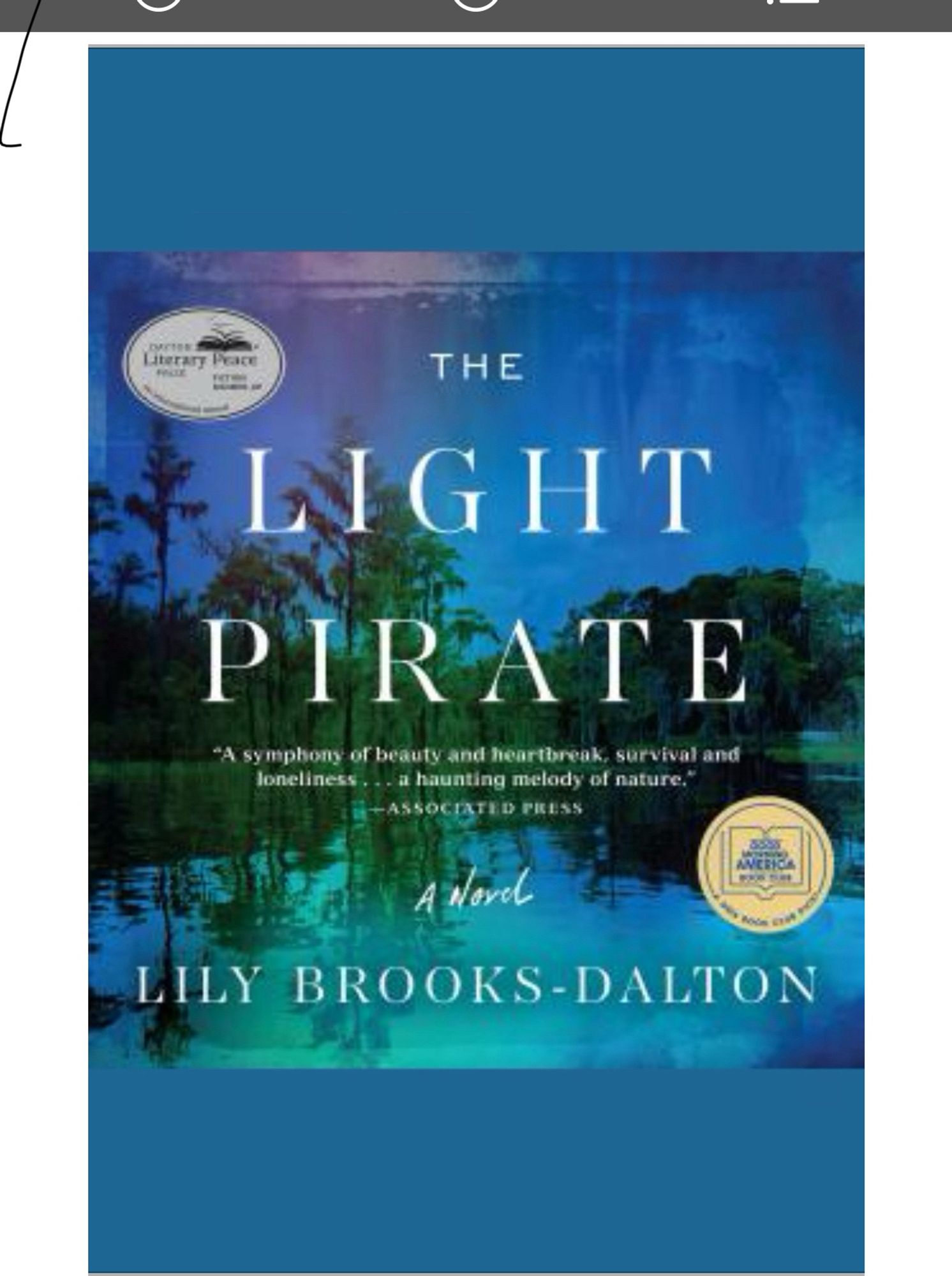 Blue Book cover of novel titled The Light Pirate by Lily Brooks Dalton