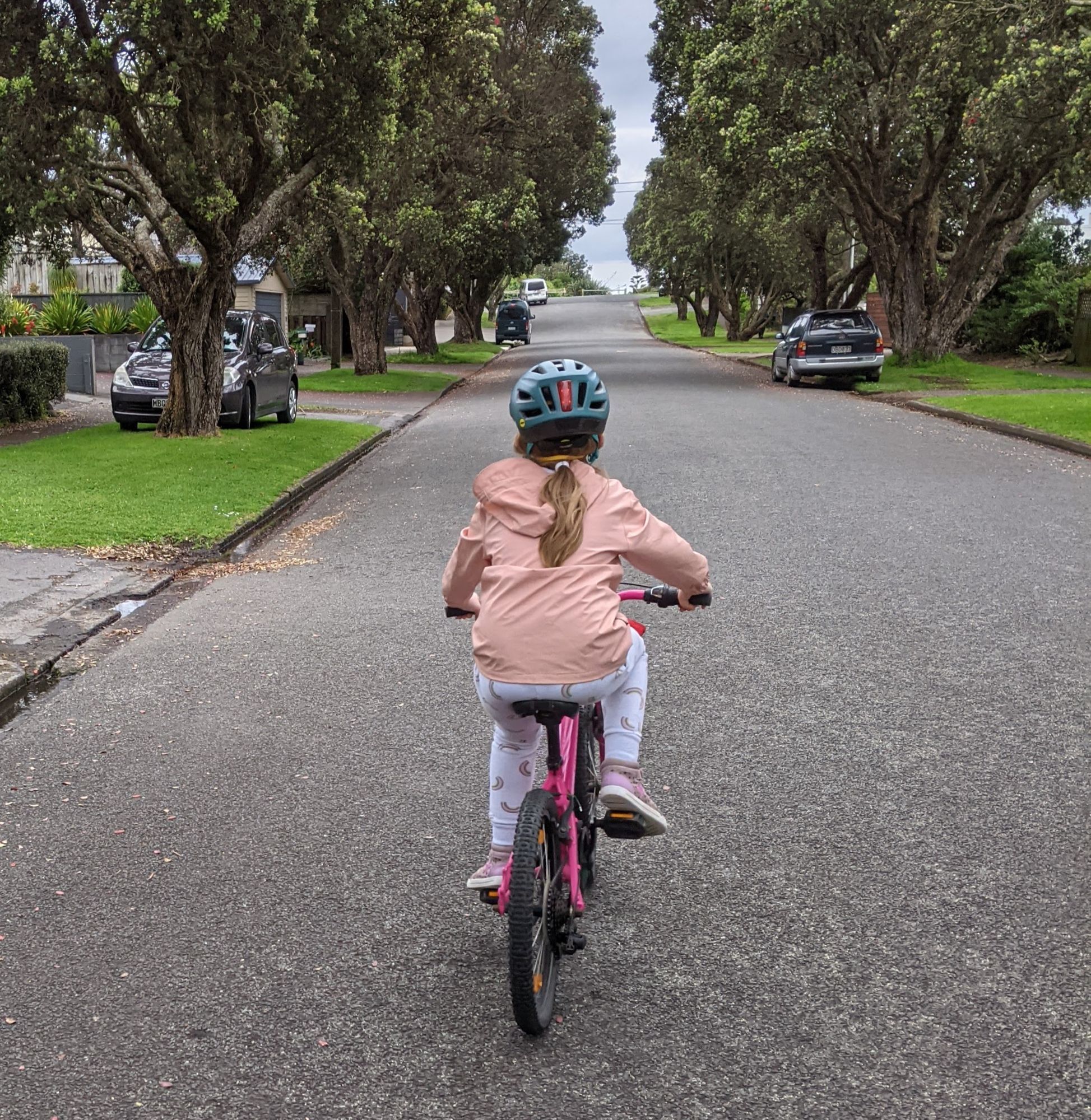 A child wearing a pink jacket and riding a pink bike down a treelined suburban street.