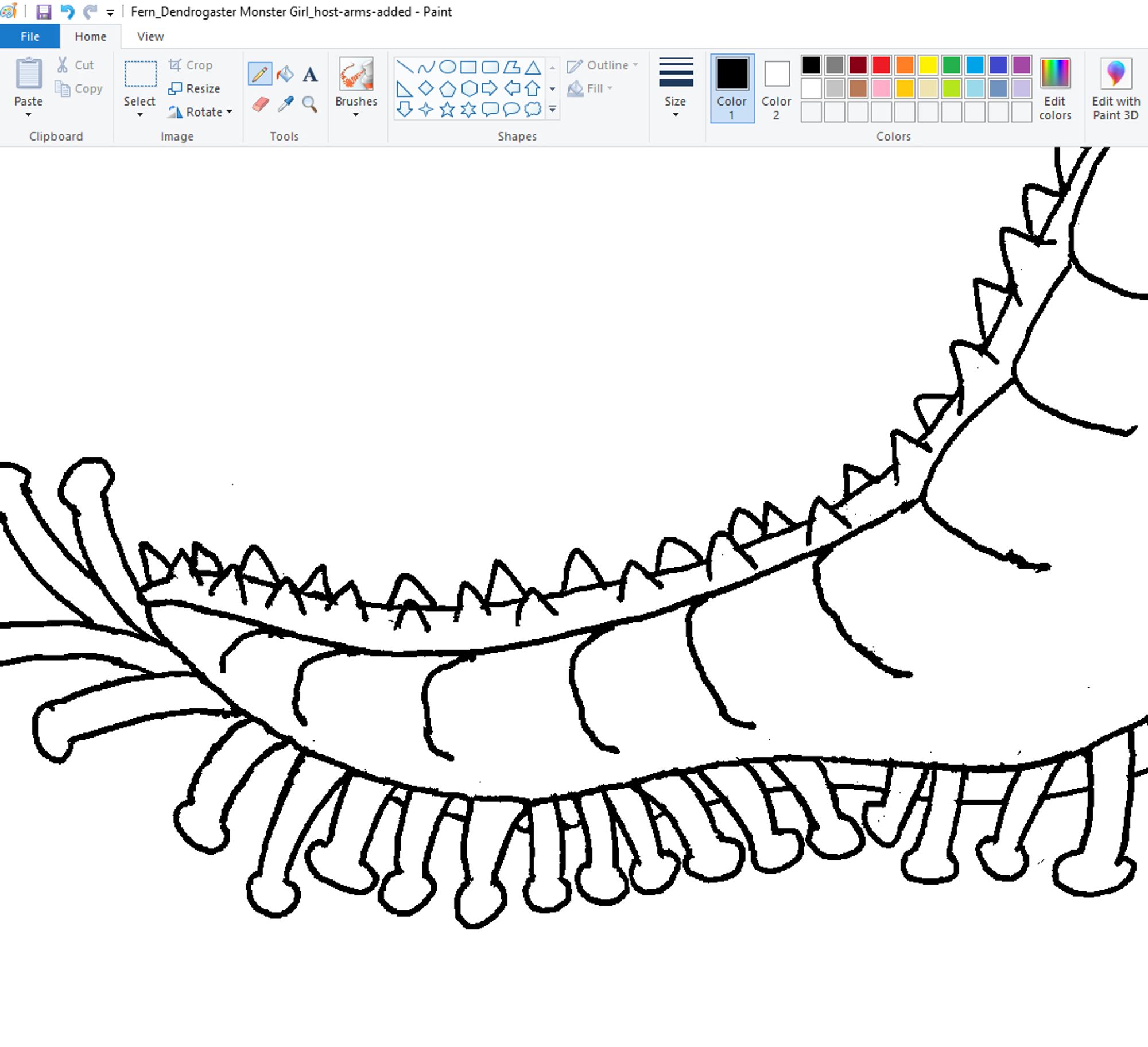 Line art of a starfish's arm lined with numerous tube feet, opened in MS Paint