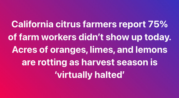 bafkreigq7bbfwbfif5ofbtevdlfqufbkqwghcs4ze2znumany2pdadml3u@jpeg