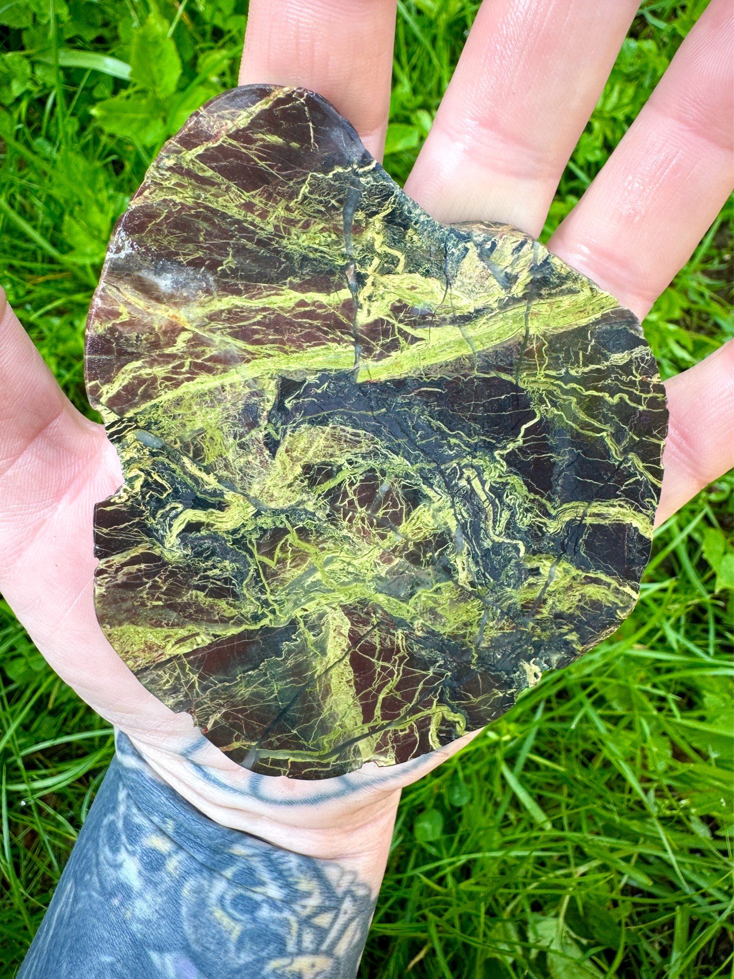 Photo of a hand palm side up holding a sliced pebble from the ORS conglomerates exposed on the Angus coast. The pebble contains abundant veinlets of epidote in a dark grey to black coloured meta-basaltic matrix. The epidote veins are sinuous and cross cut one another and are pistachio green in colour.