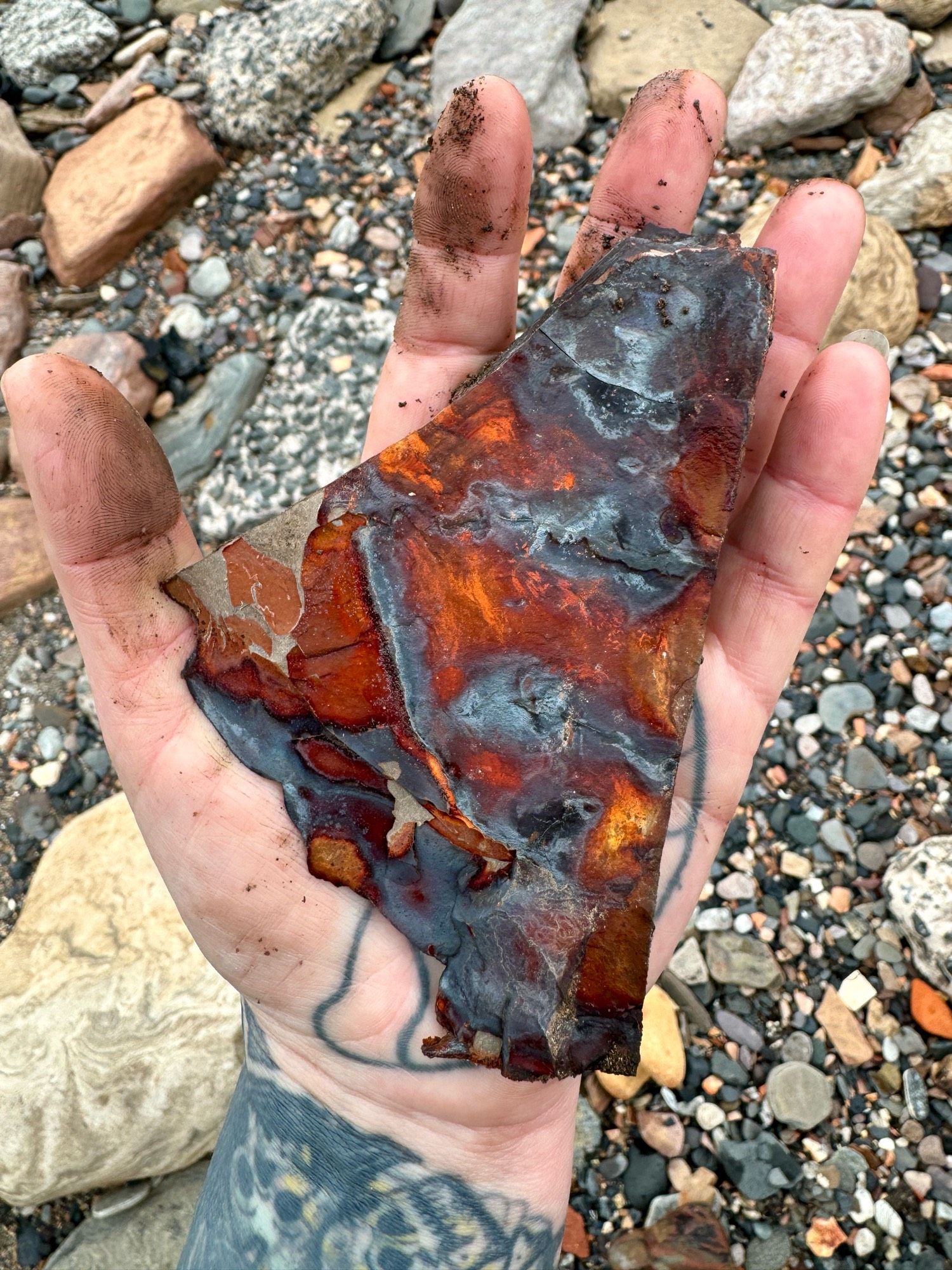 Photo of a hand palm side up holding a piece of Carboniferous shale which has been baked in a bing fire. Bing is a Scots word for a spoil heap or waste pile left over from mining and other industrial processes. The shale has greyish blue coloured patches which appear slightly shiny due to residual oil. There are also extensive areas of red-orange colouration due to the shale being subjected to high temperatures and there’s also significant iron staining due to the oxidation and leaching of iron bearing minerals like pyrite present in the waste.