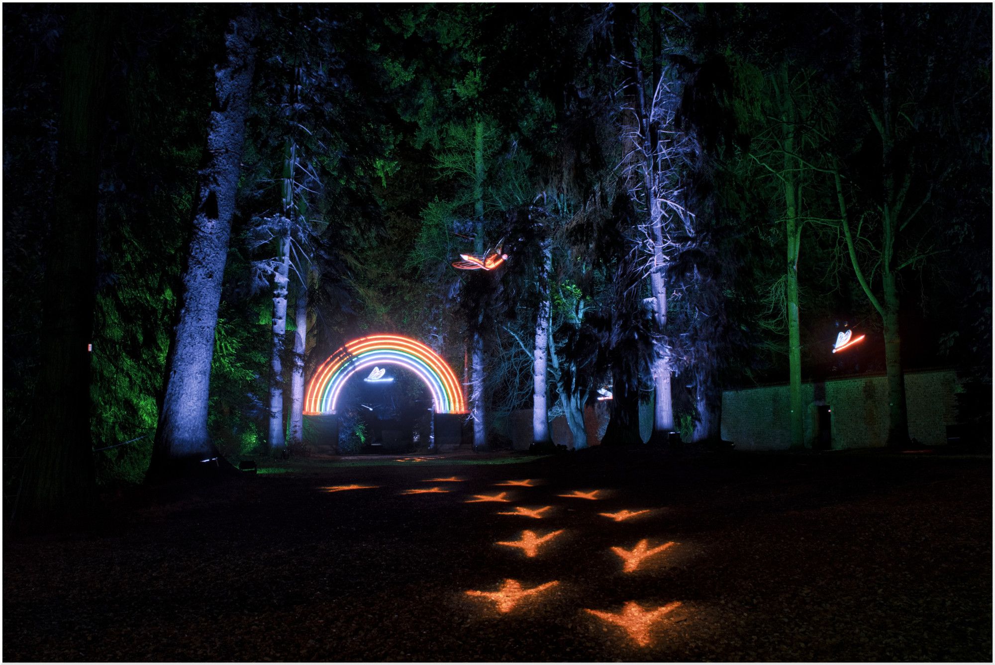 Dans un bois, un arc-en-ciel en néon, la nuit. Un éclairage simulant des traces de pattes d'oiseau part du bord de l'image vers l'arc-en-ciel. Deux libellules en néons sont visibles dans les arbres.