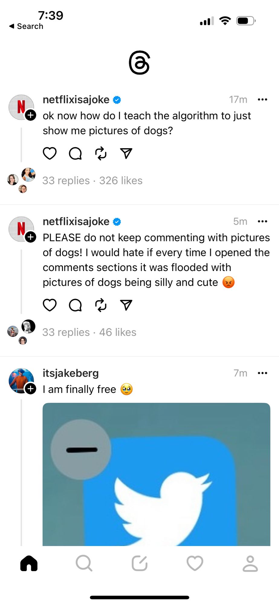 A screenshot of the only feed available in the Threads app. The top three posts are from Netflix and Jake Berg – neither of whom I follow.