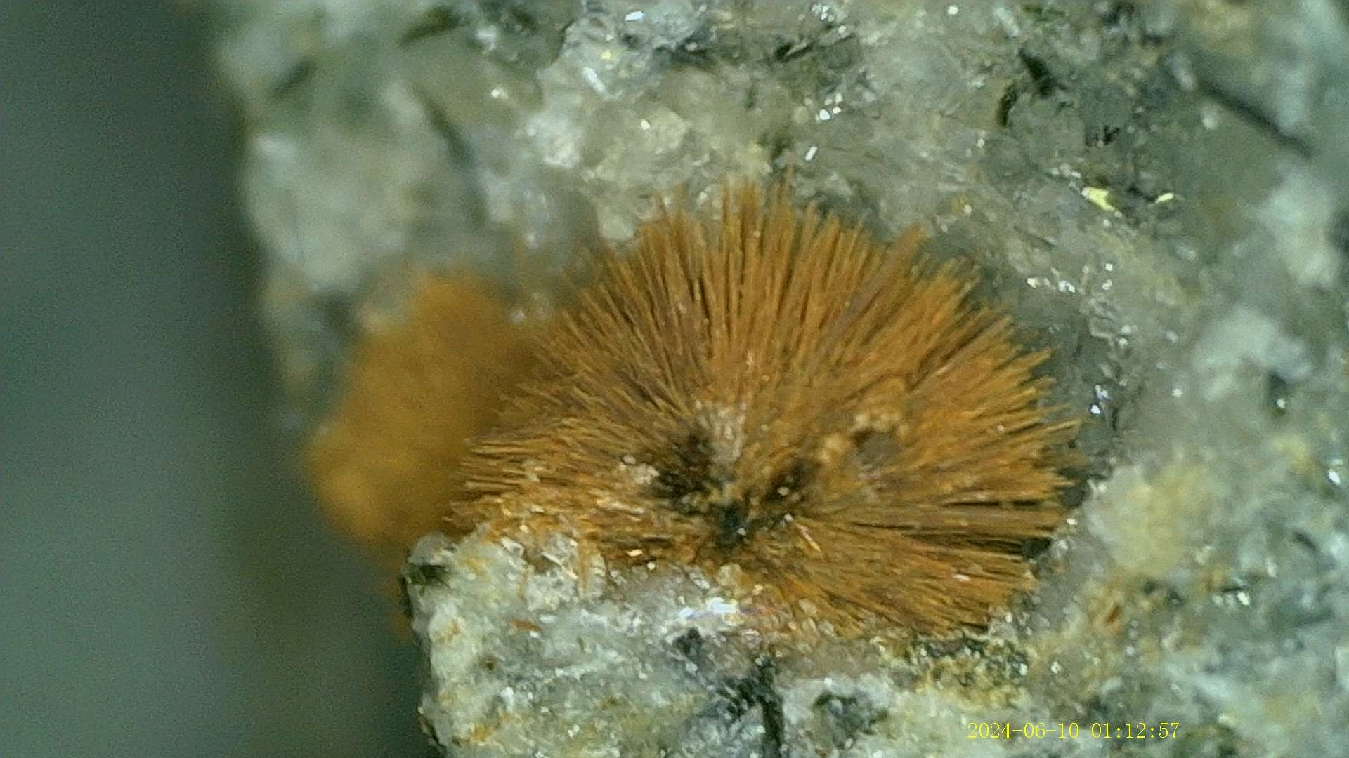 Light brown Tuperssuatsiaite crystals in clear Natrolite 