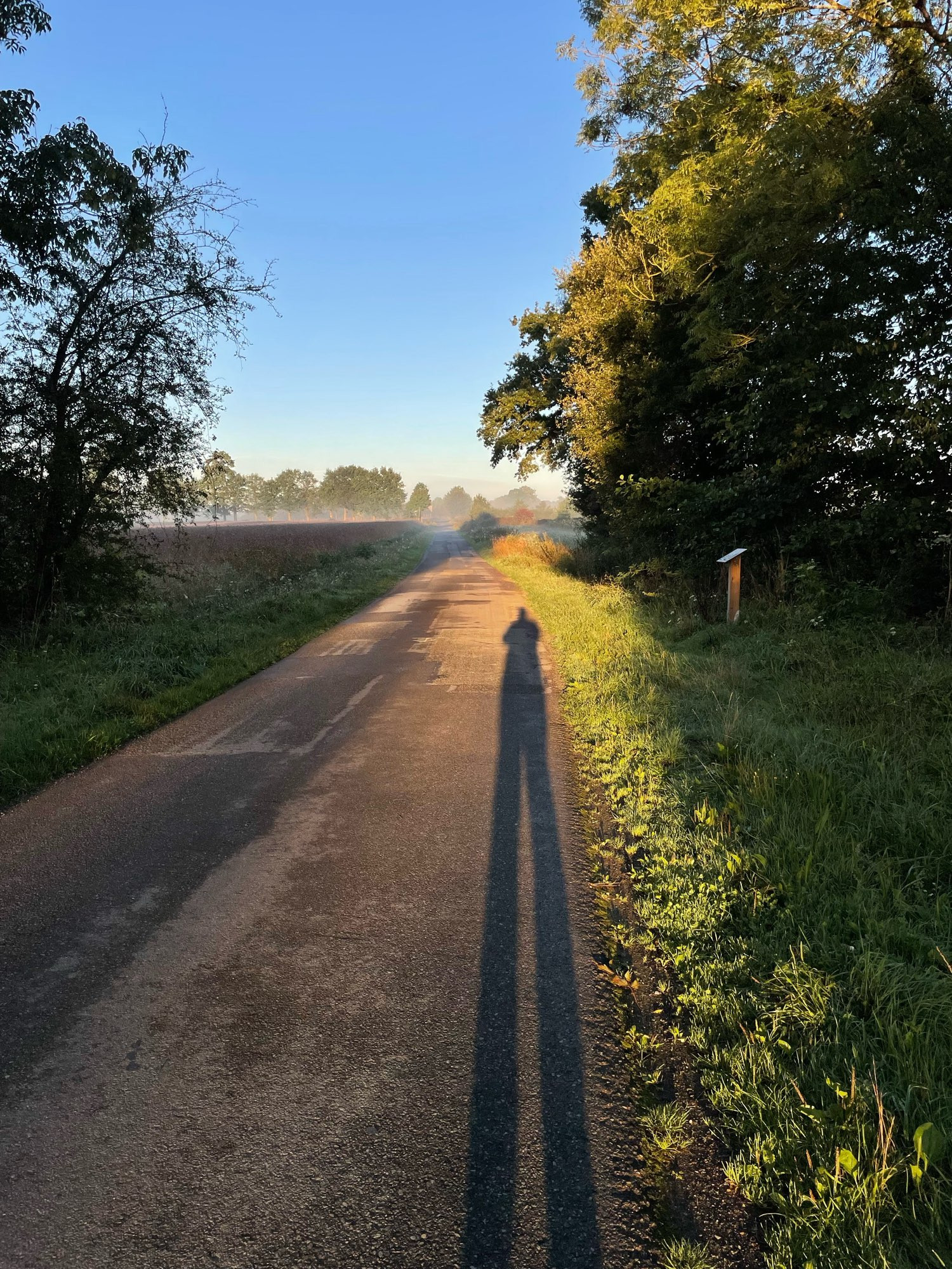 La campagne bretonne fume sous la brume du matin depuis la route.