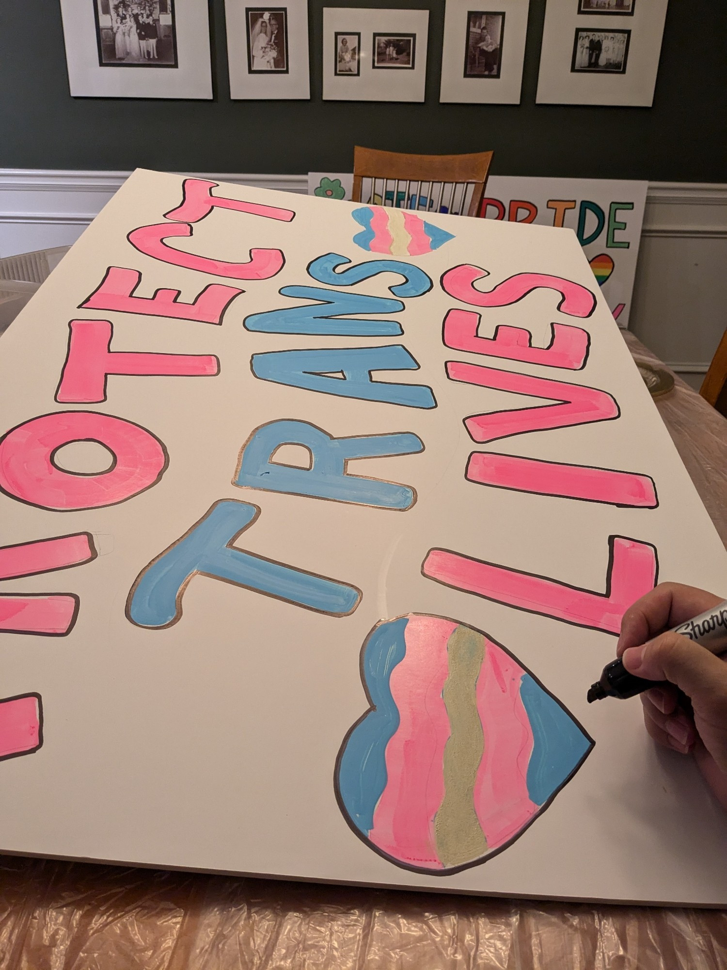 A poster board with "Protect Trans Lives" in the colors of the trans flag, pink, white, and blue.