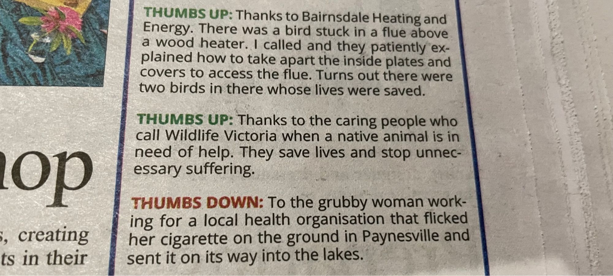 Excerpt from the thumbs up thumbs down column, where Advertiser readers write in with their local praise or gripes, featuring two nice thumbs ups about bird and wildlife rescue and a thumbs down about “grubby” smoking health care workers written in a very particular style that appears in the column VERY frequently.