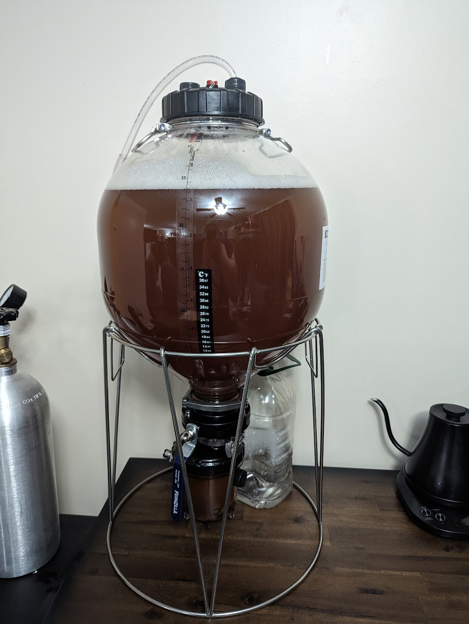 Conical fermentation chamber with apple juice for some cider.