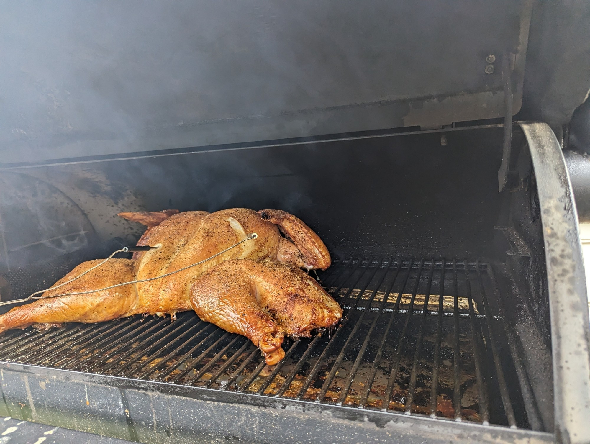 A spatchcocked turkey in a smoker.