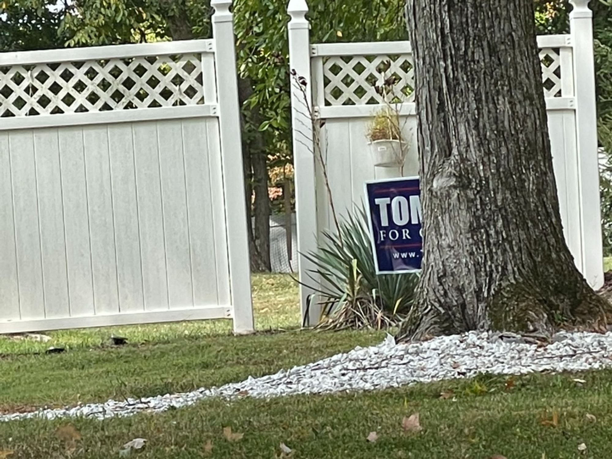 A Tom Kean Jr for Congress yard sign partially hidden by a tree